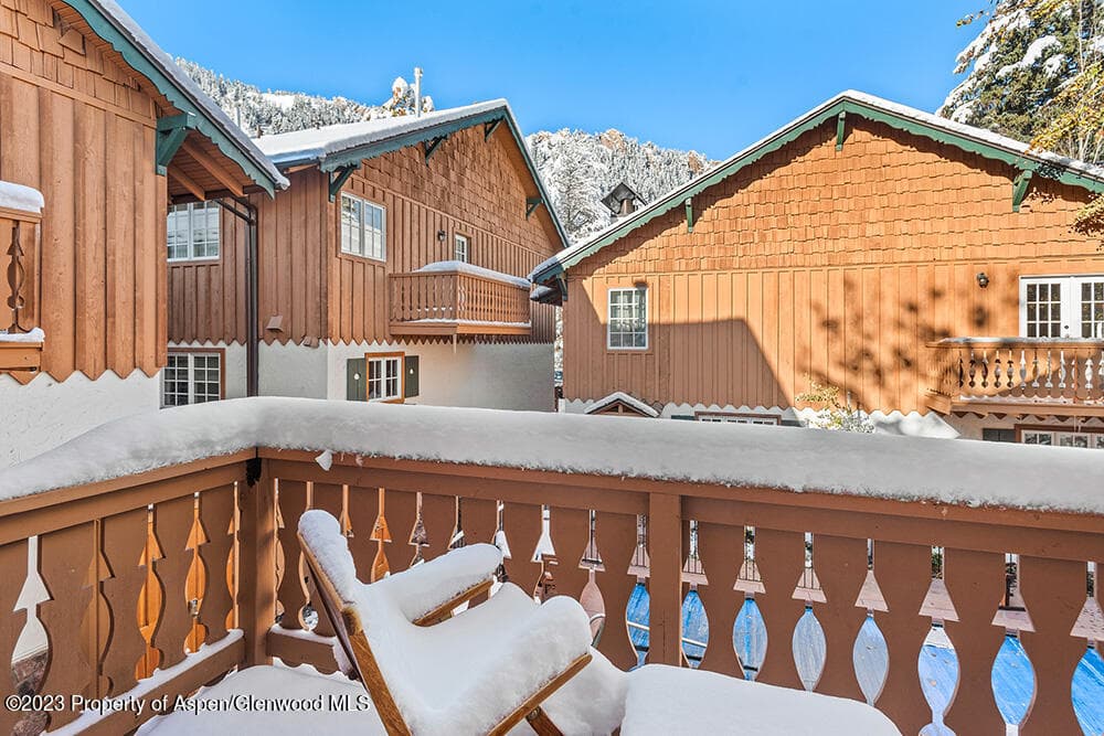 631 S Galena Street #11, Aspen, CO 81611 - Photo 19