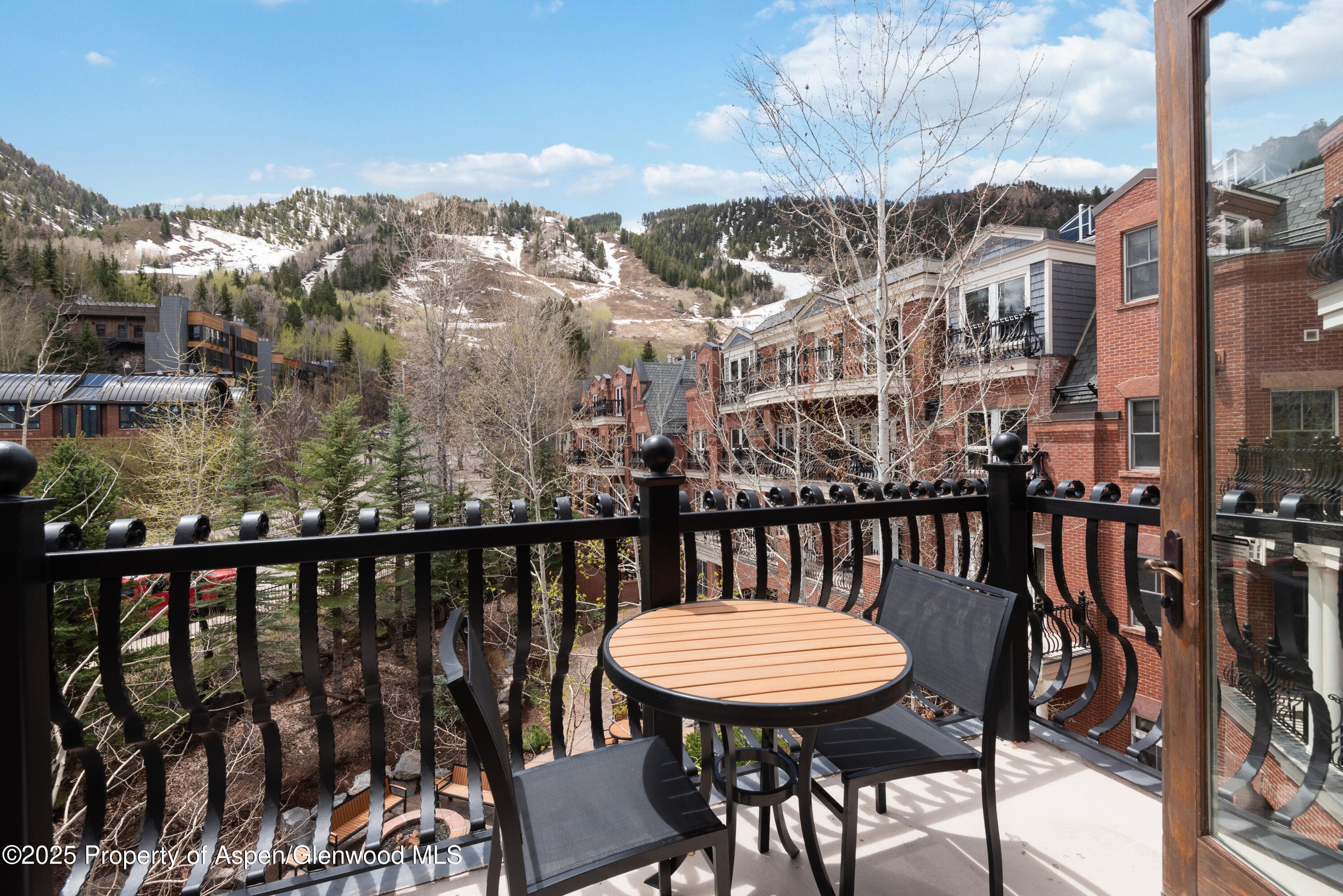 415 E Dean Street Unit 32- wk 6, Aspen, CO 81611 - Photo 16