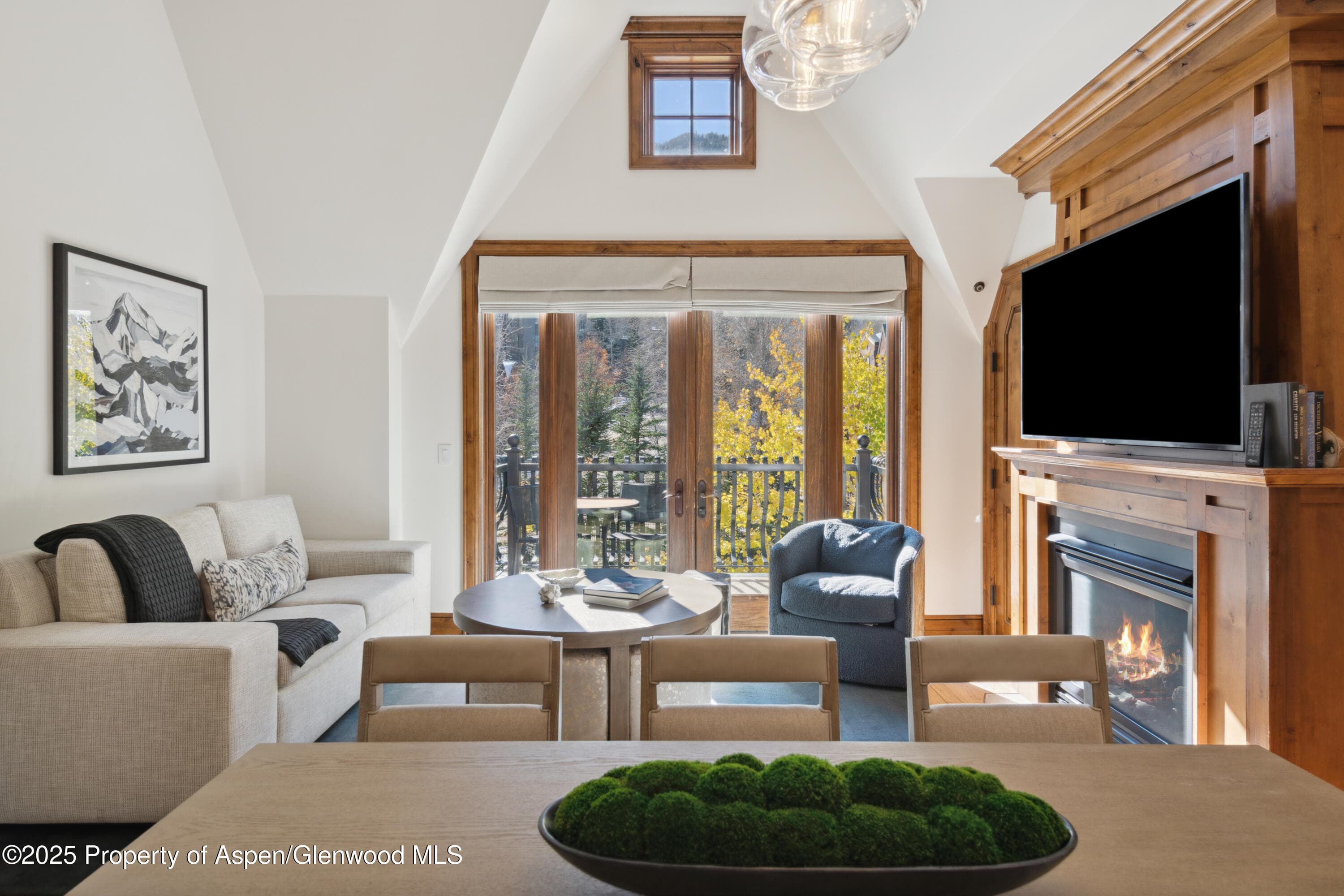 415 E Dean Street Unit 32- wk 6, Aspen, CO 81611 - Photo 2