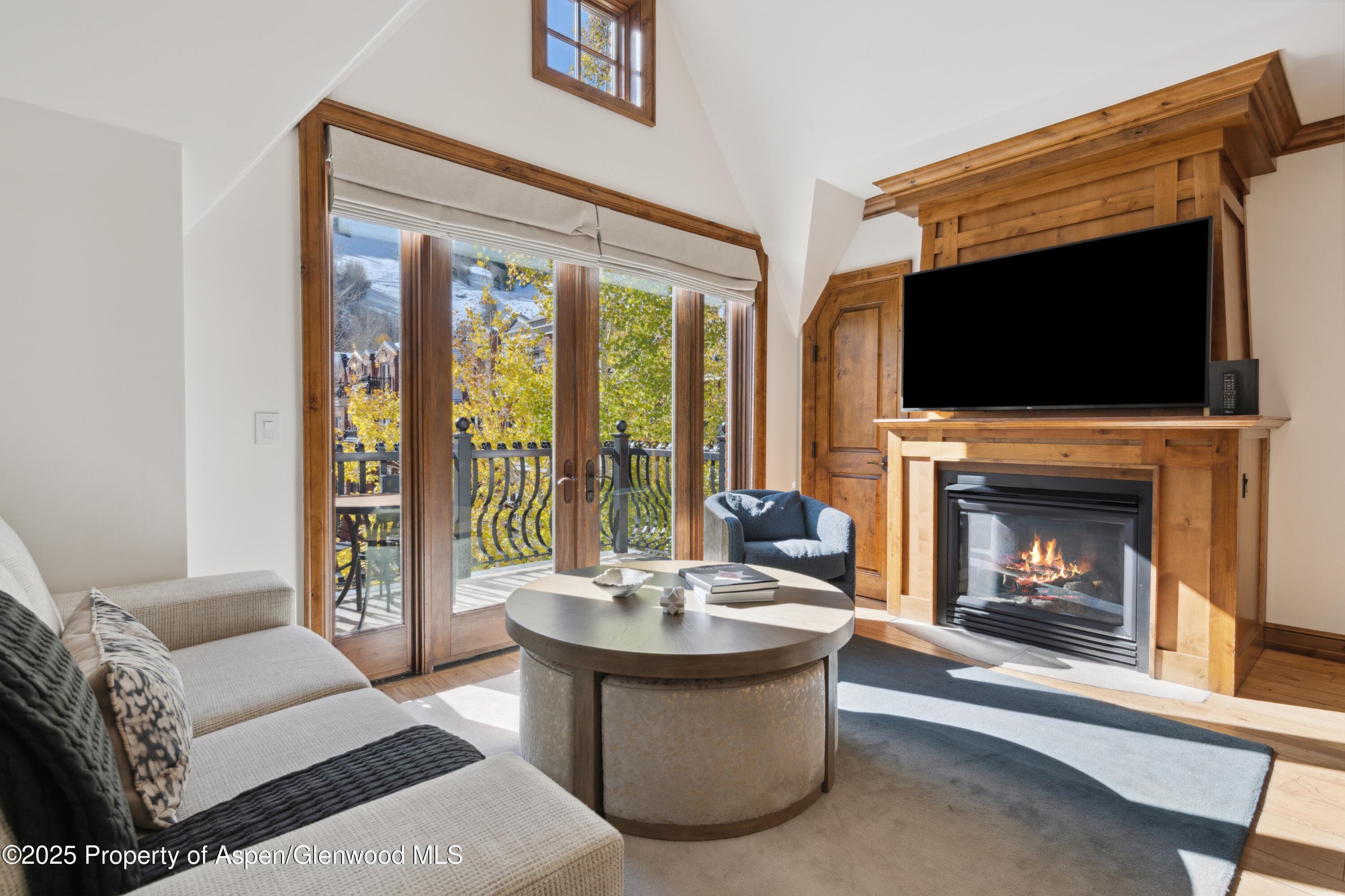 415 E Dean Street Unit 32- wk 6, Aspen, CO 81611 - Photo 3