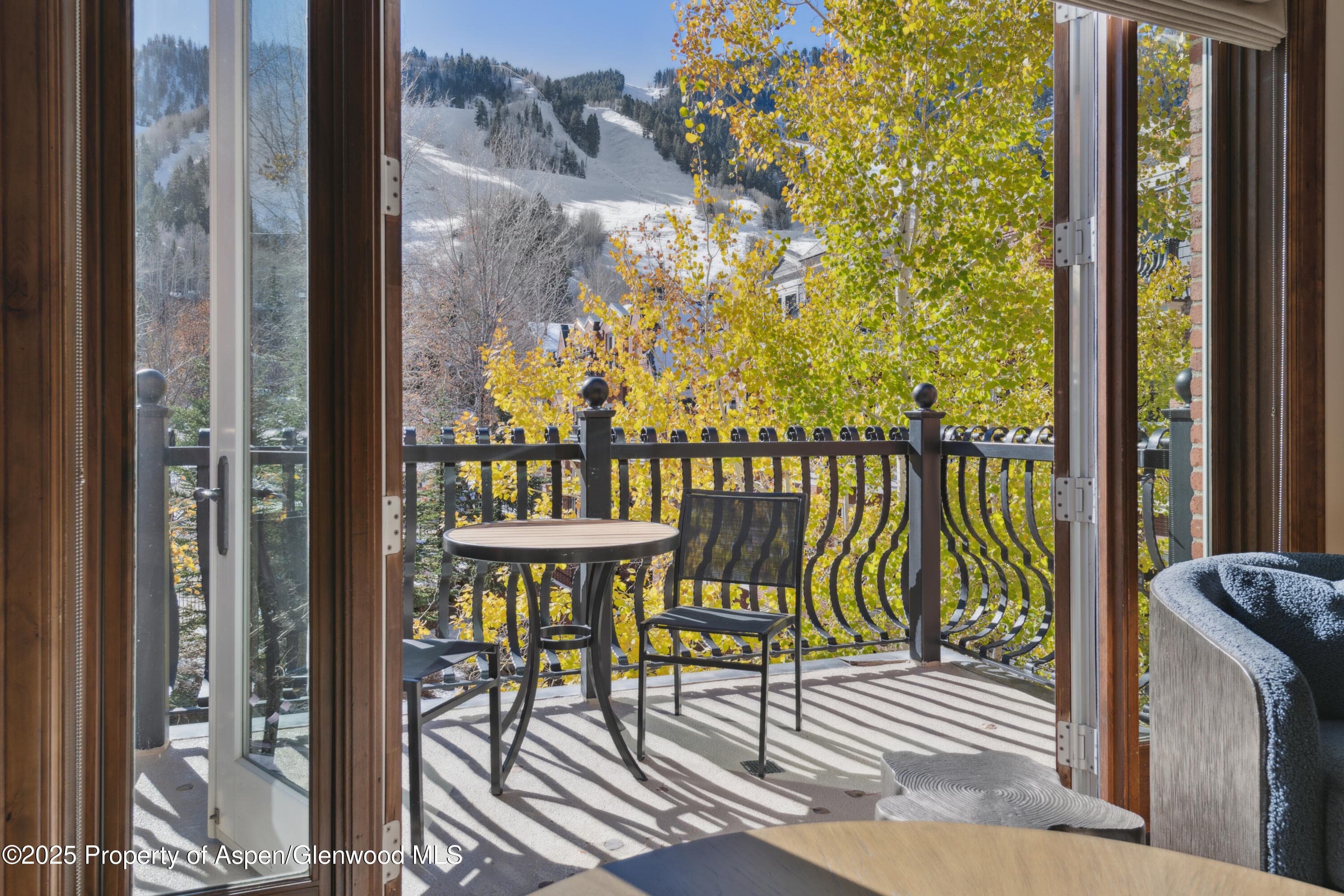 415 E Dean Street Unit 32- wk 6, Aspen, CO 81611 - Photo 5