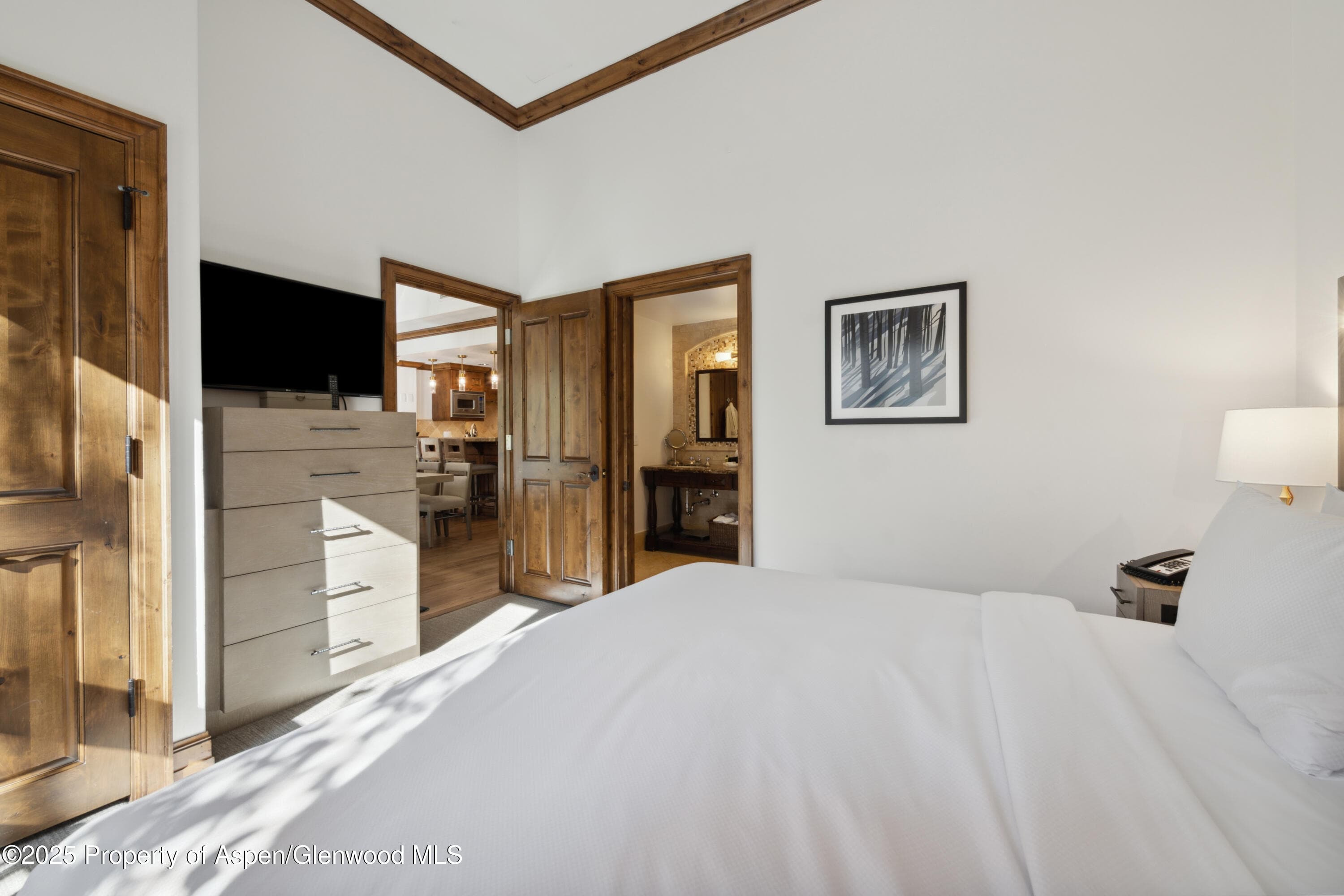415 E Dean Street Unit 32- wk 6, Aspen, CO 81611 - Photo 12