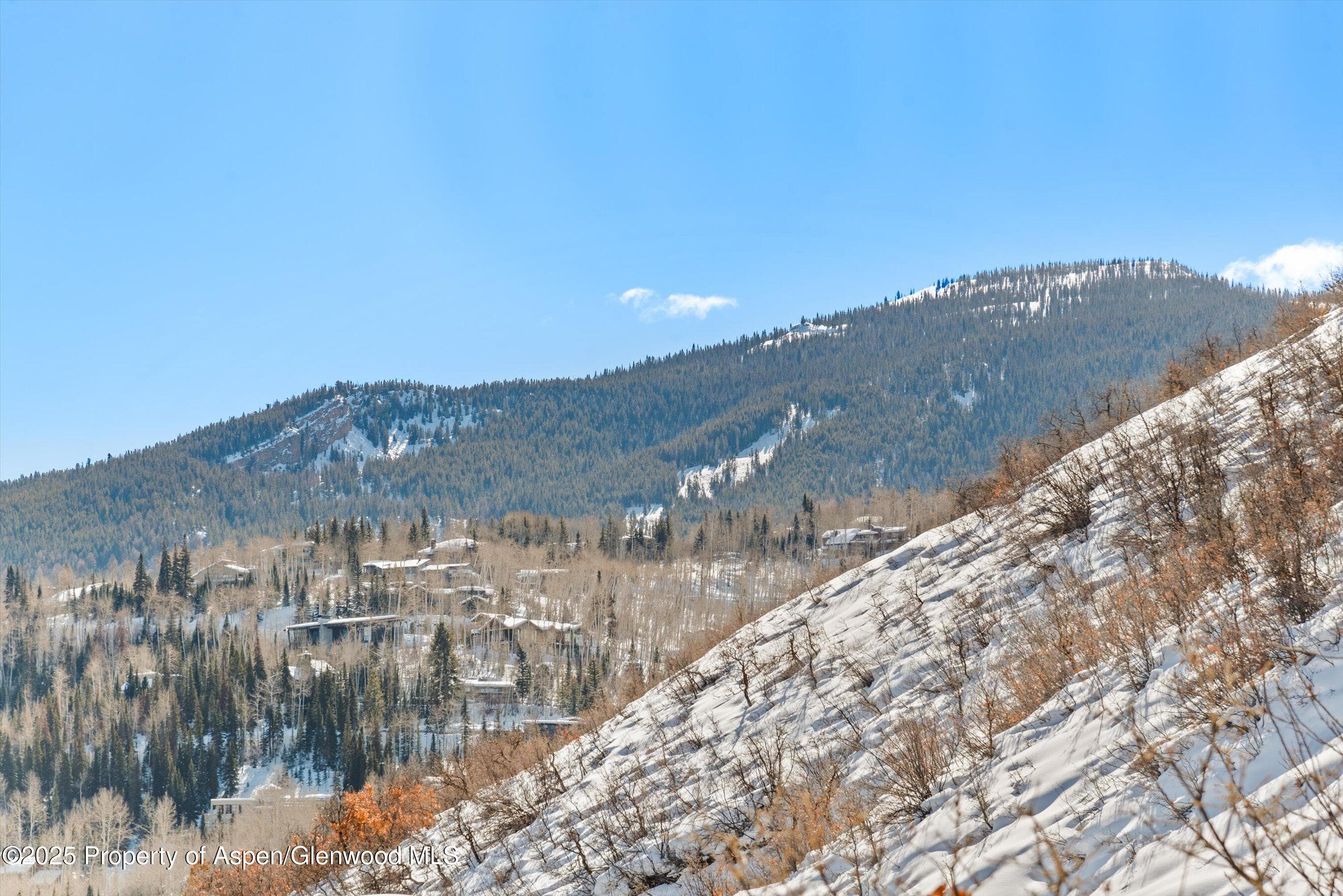 65 TERRACE Lane, Snowmass Village, CO 81615 - Photo 28