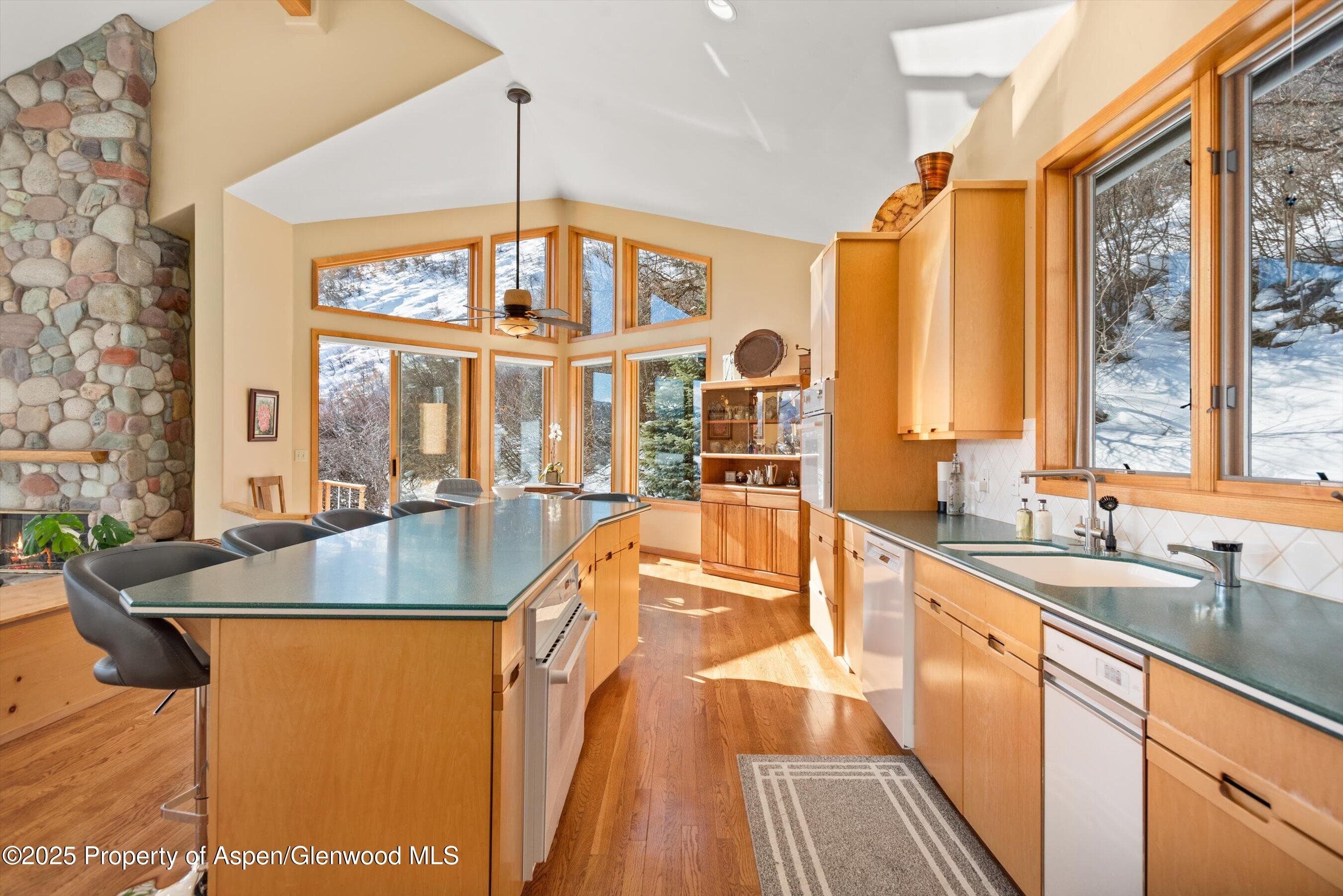 65 TERRACE Lane, Snowmass Village, CO 81615 - Photo 8