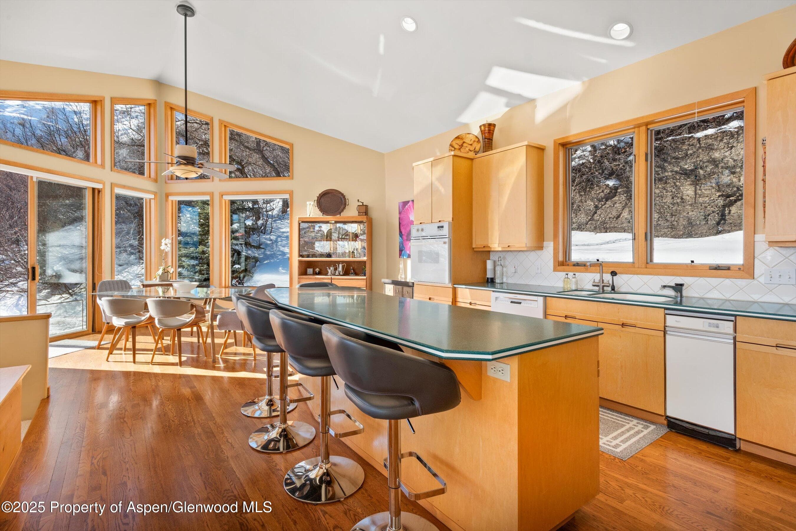 65 TERRACE Lane, Snowmass Village, CO 81615 - Photo 9