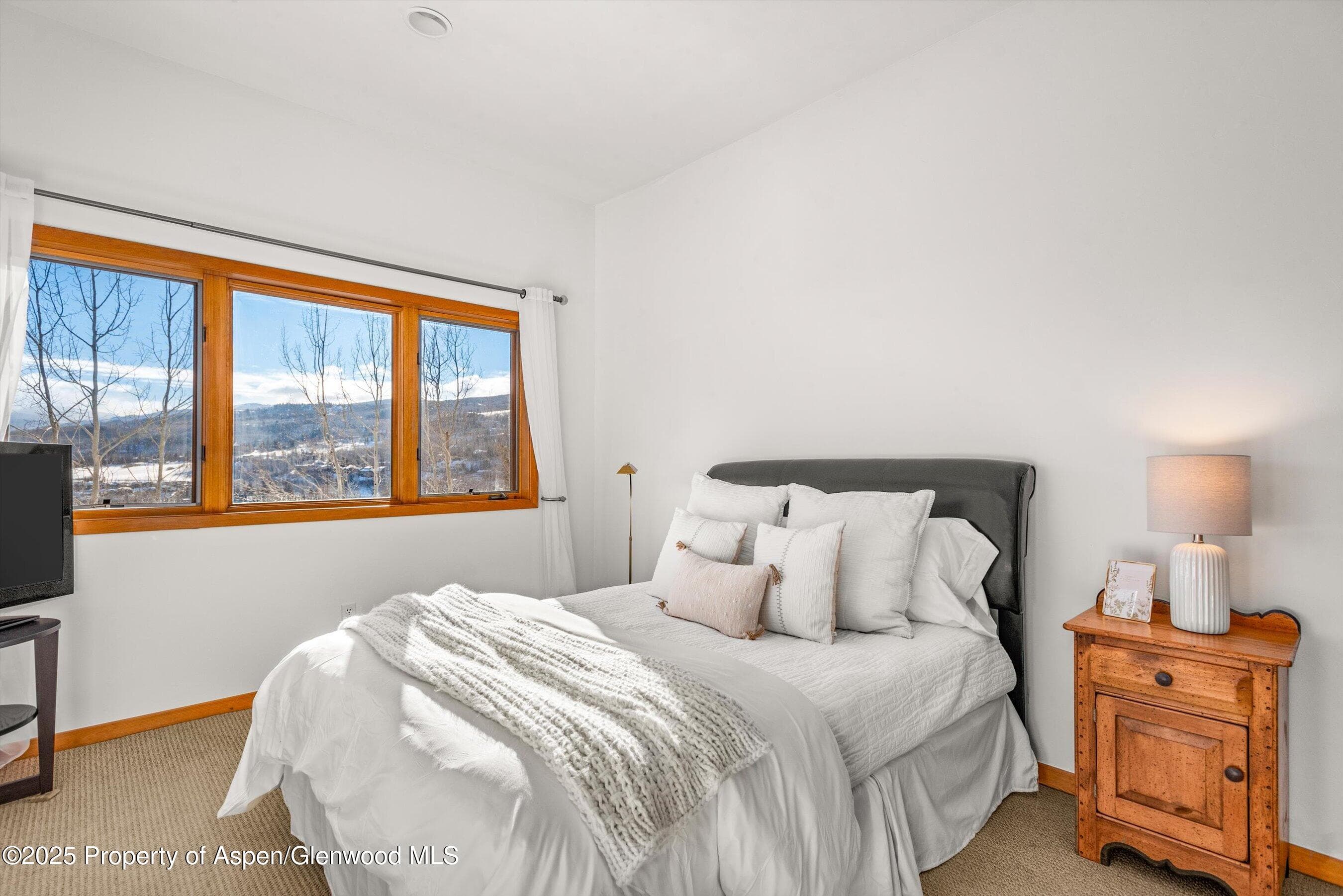 65 TERRACE Lane, Snowmass Village, CO 81615 - Photo 19
