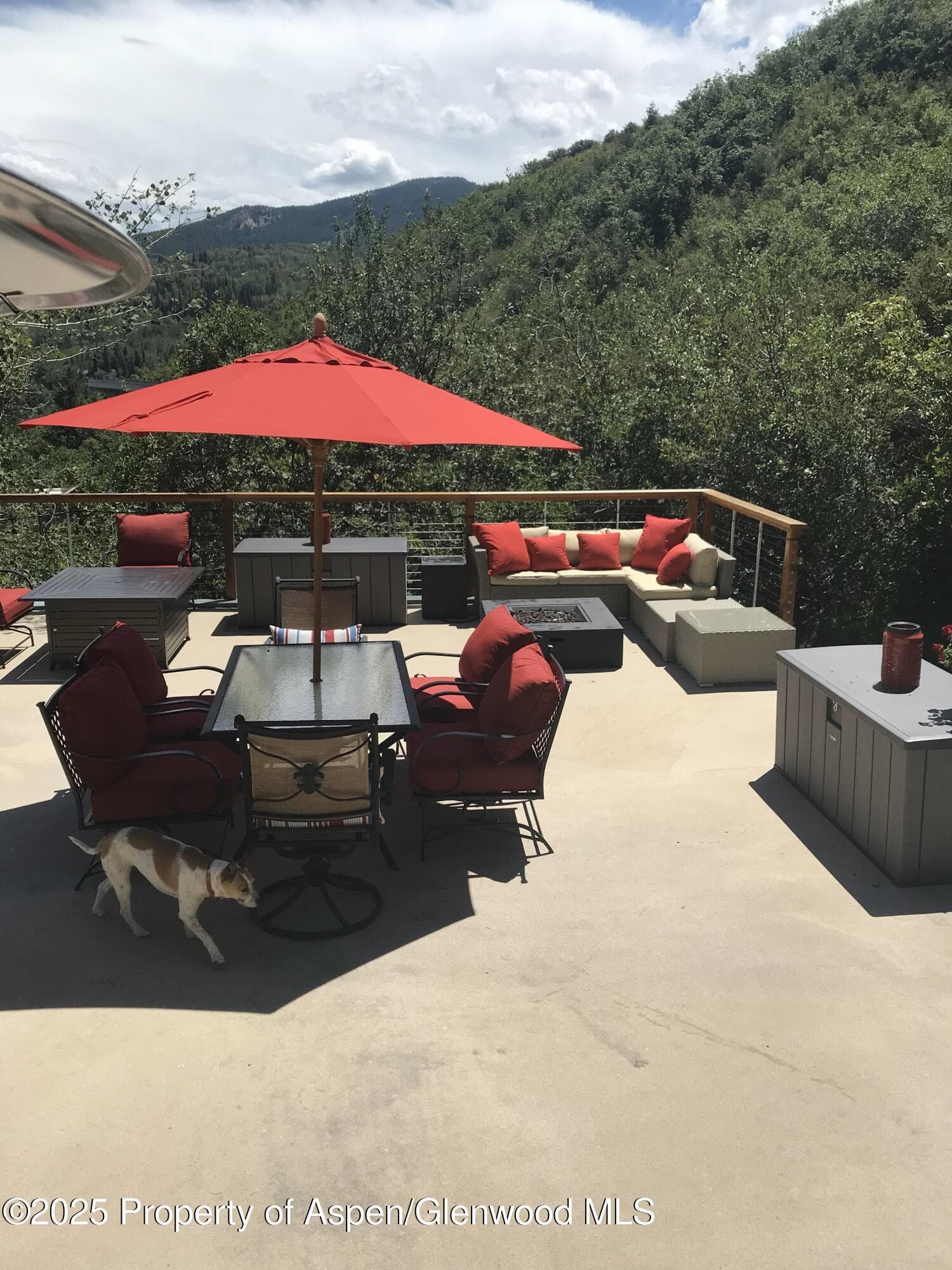 65 TERRACE Lane, Snowmass Village, CO 81615 - Photo 35