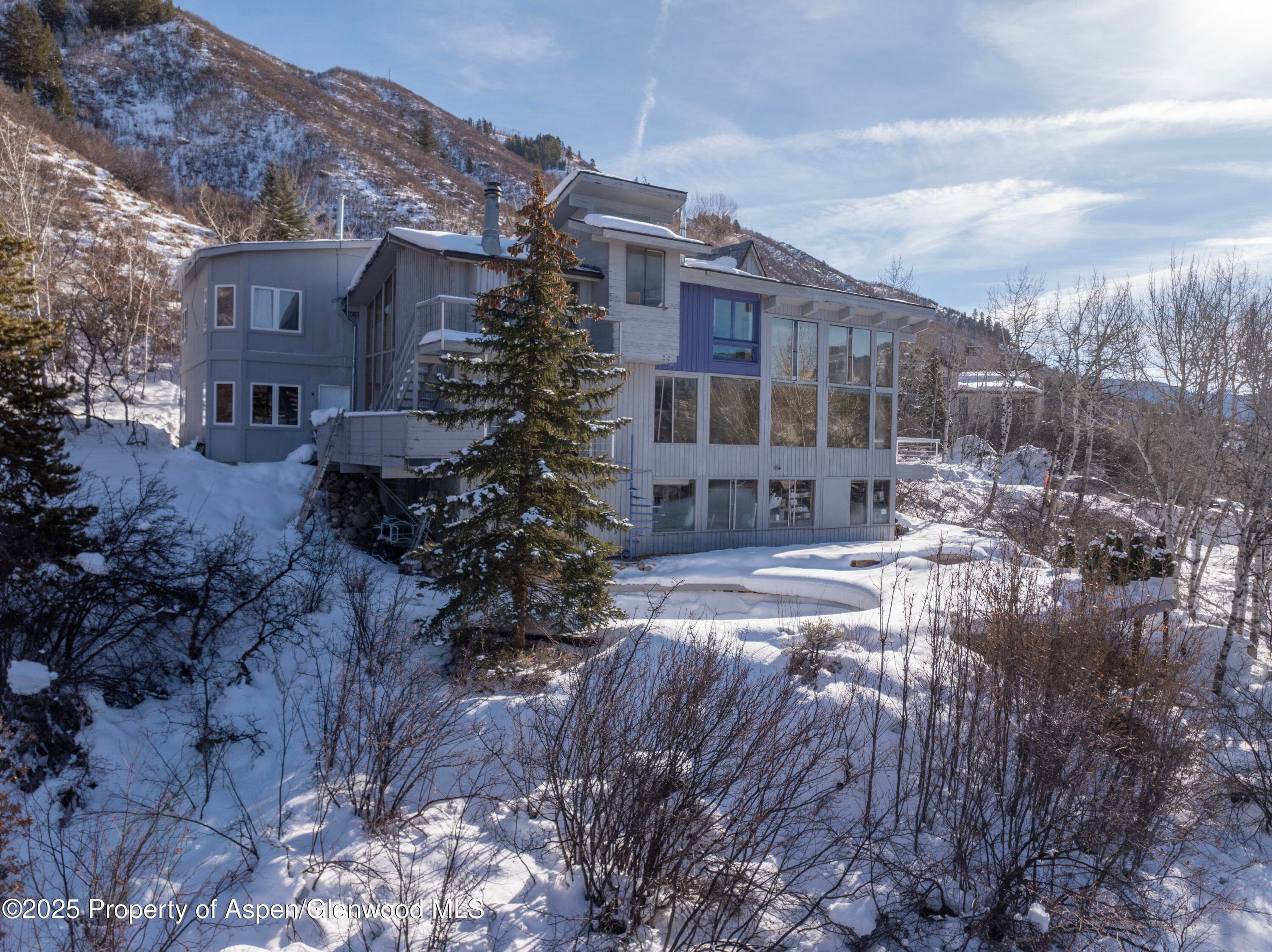 709 N Spruce Street, Aspen, CO 81611 - Photo 6