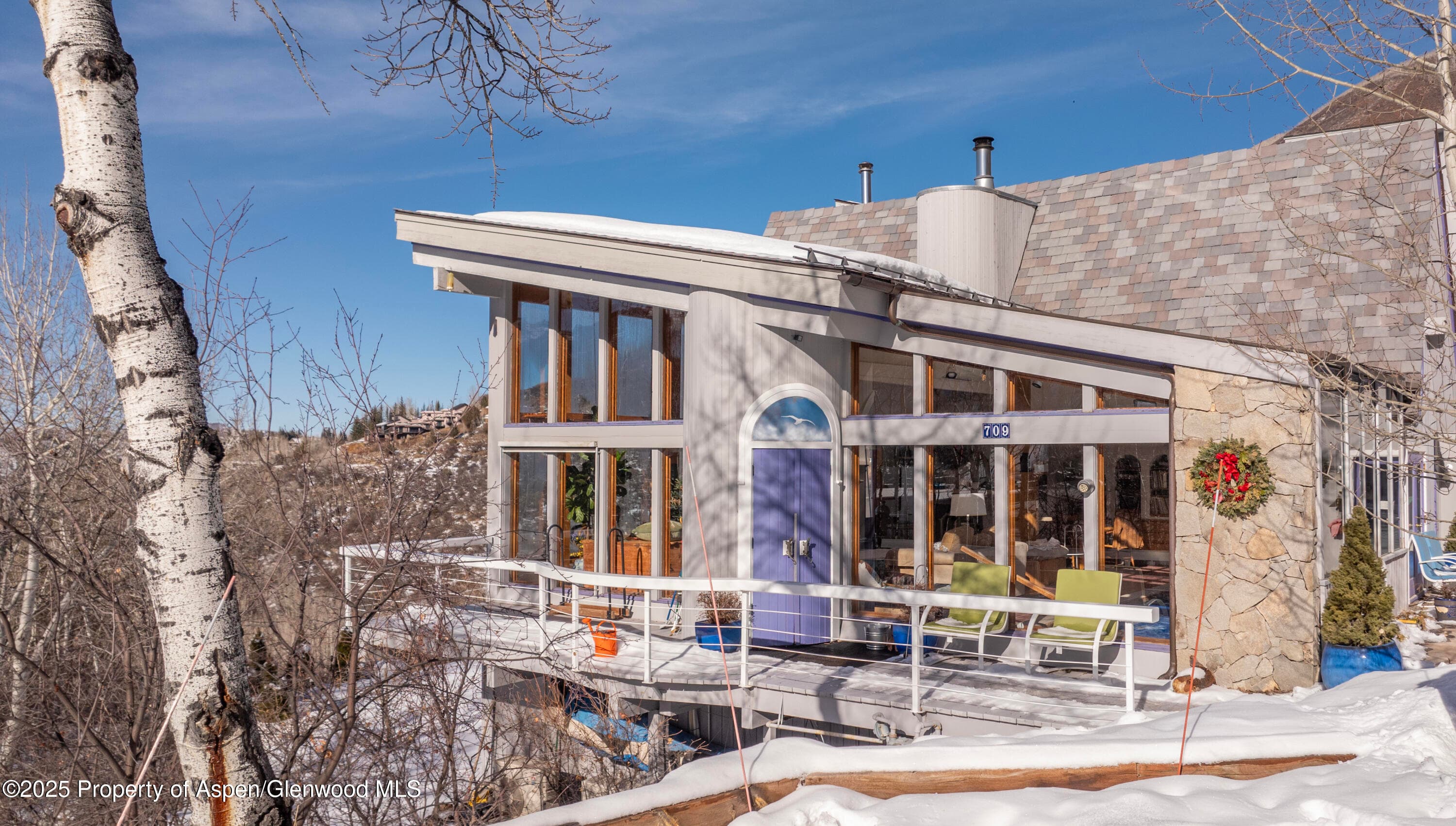 709 N Spruce Street, Aspen, CO 81611 - Photo 10