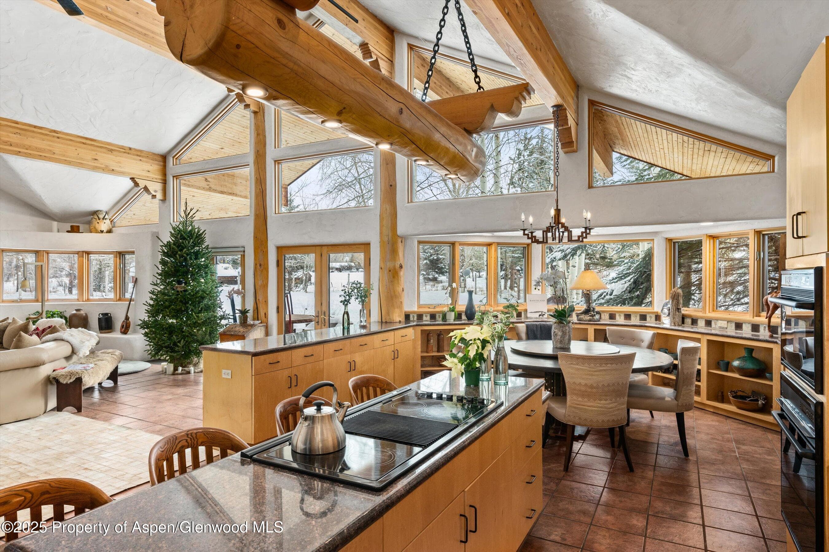 7282 UPPER RIVER Road, Woody Creek, CO 81656 - Photo 10