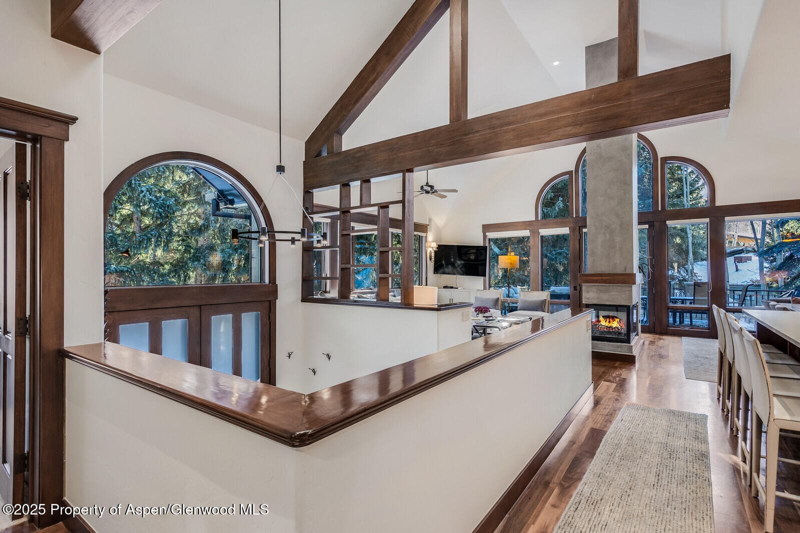 777 Castle Creek Drive, Aspen, CO 81611 - Photo 12