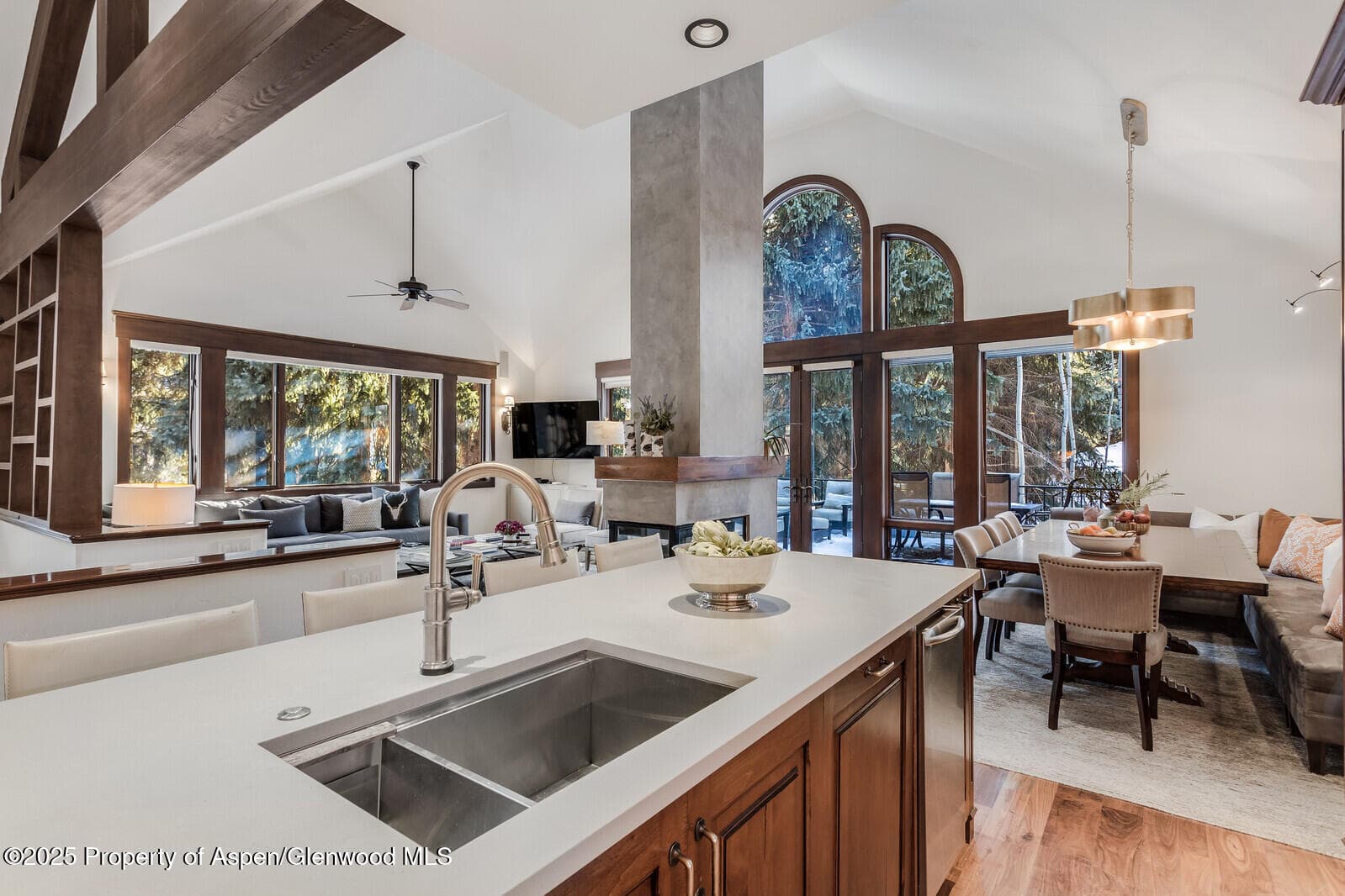 777 Castle Creek Drive, Aspen, CO 81611 - Photo 16