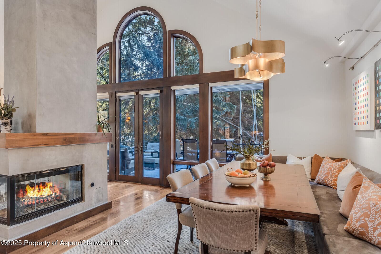 777 Castle Creek Drive, Aspen, CO 81611 - Photo 17