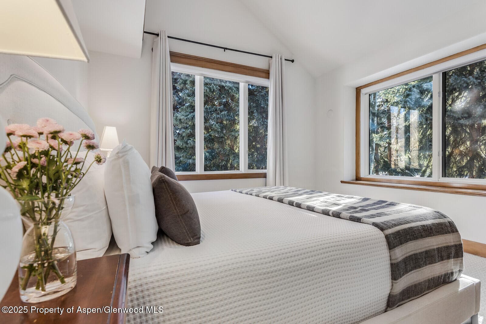 777 Castle Creek Drive, Aspen, CO 81611 - Photo 26