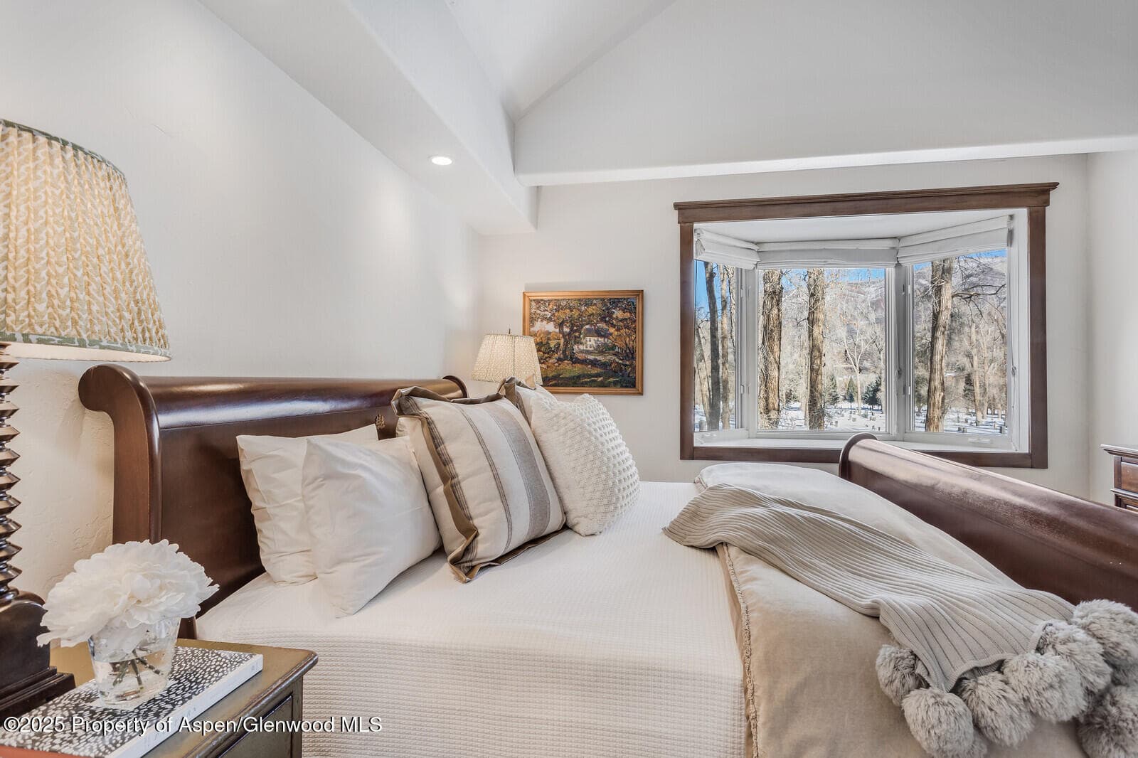 777 Castle Creek Drive, Aspen, CO 81611 - Photo 29