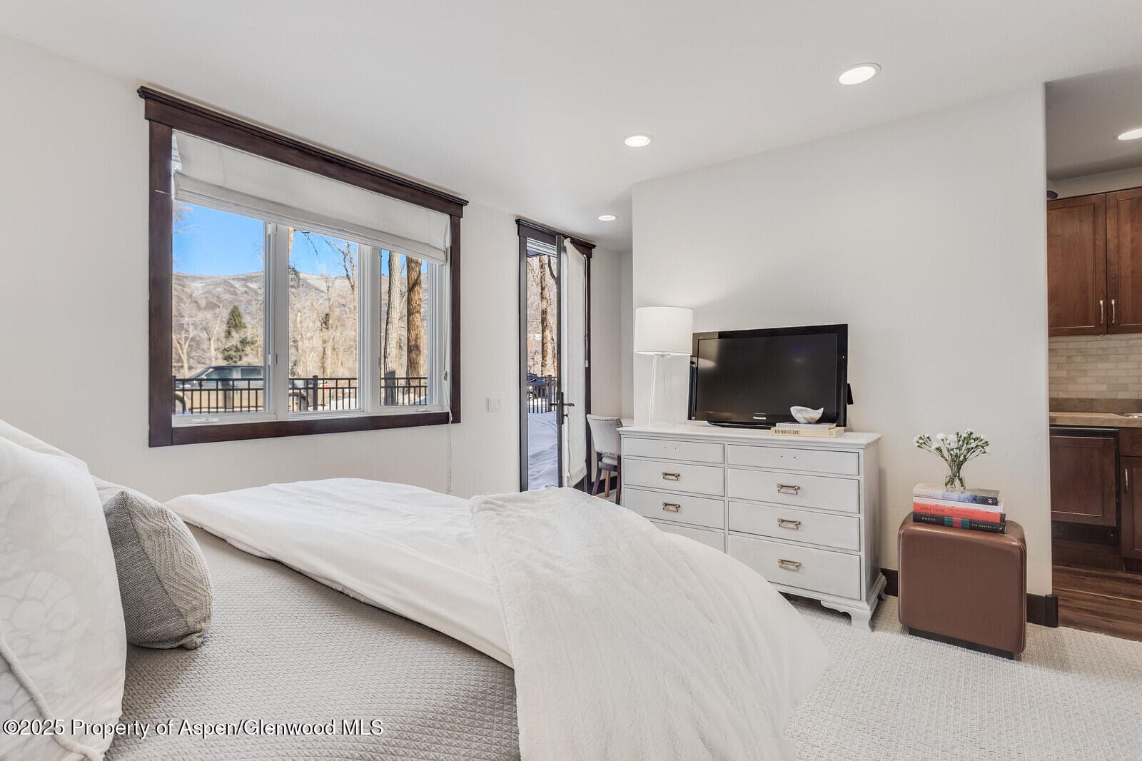 777 Castle Creek Drive, Aspen, CO 81611 - Photo 43