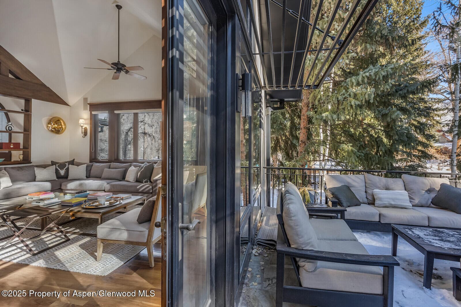 777 Castle Creek Drive, Aspen, CO 81611 - Photo 18