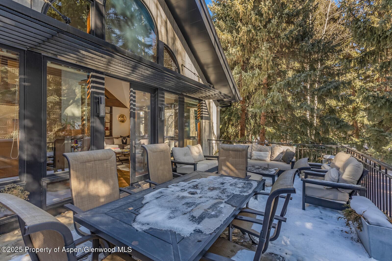 777 Castle Creek Drive, Aspen, CO 81611 - Photo 19