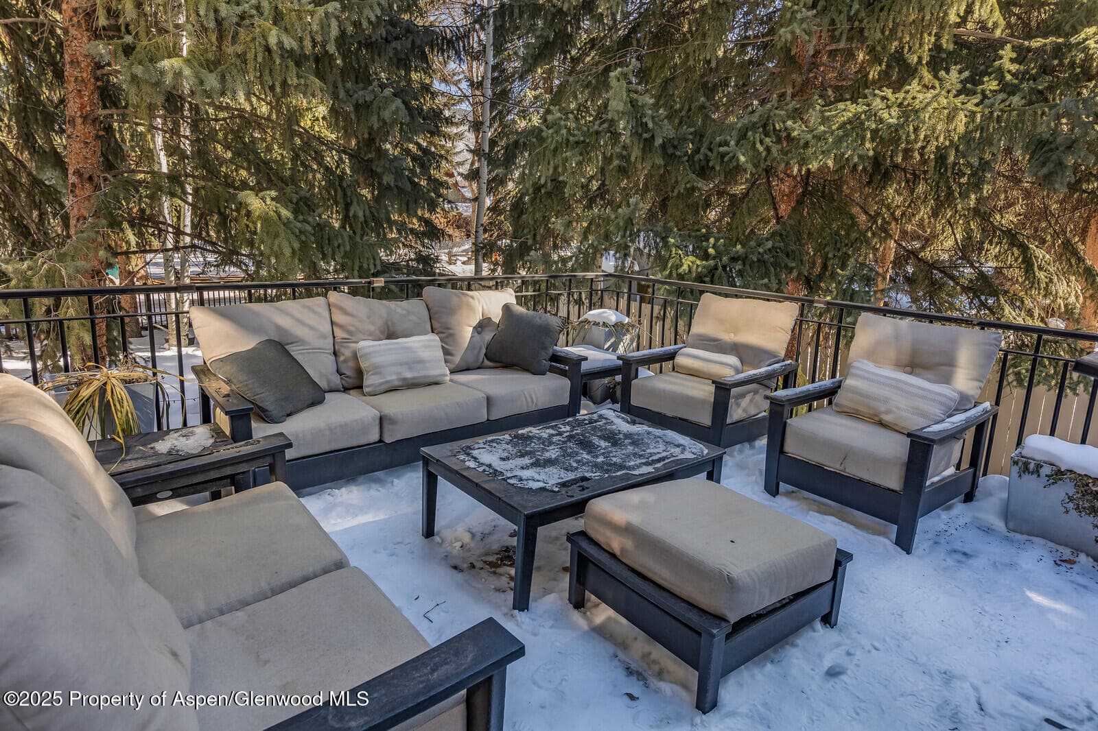 777 Castle Creek Drive, Aspen, CO 81611 - Photo 21