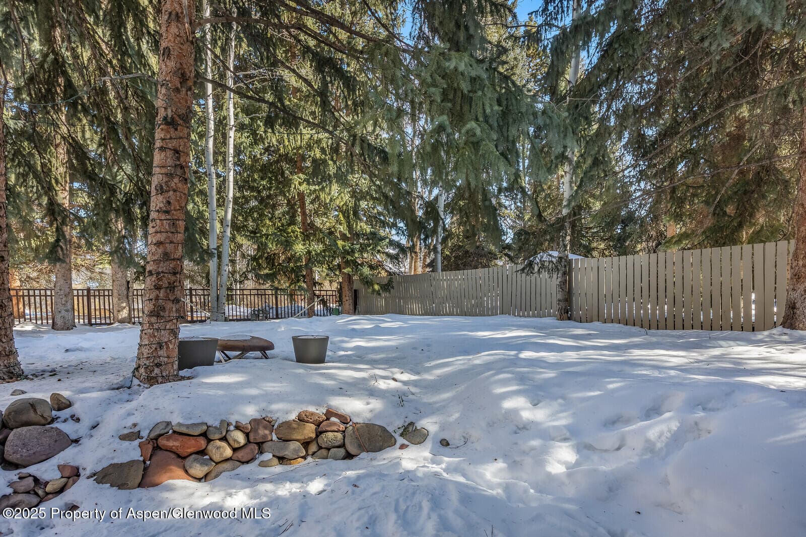 777 Castle Creek Drive, Aspen, CO 81611 - Photo 53