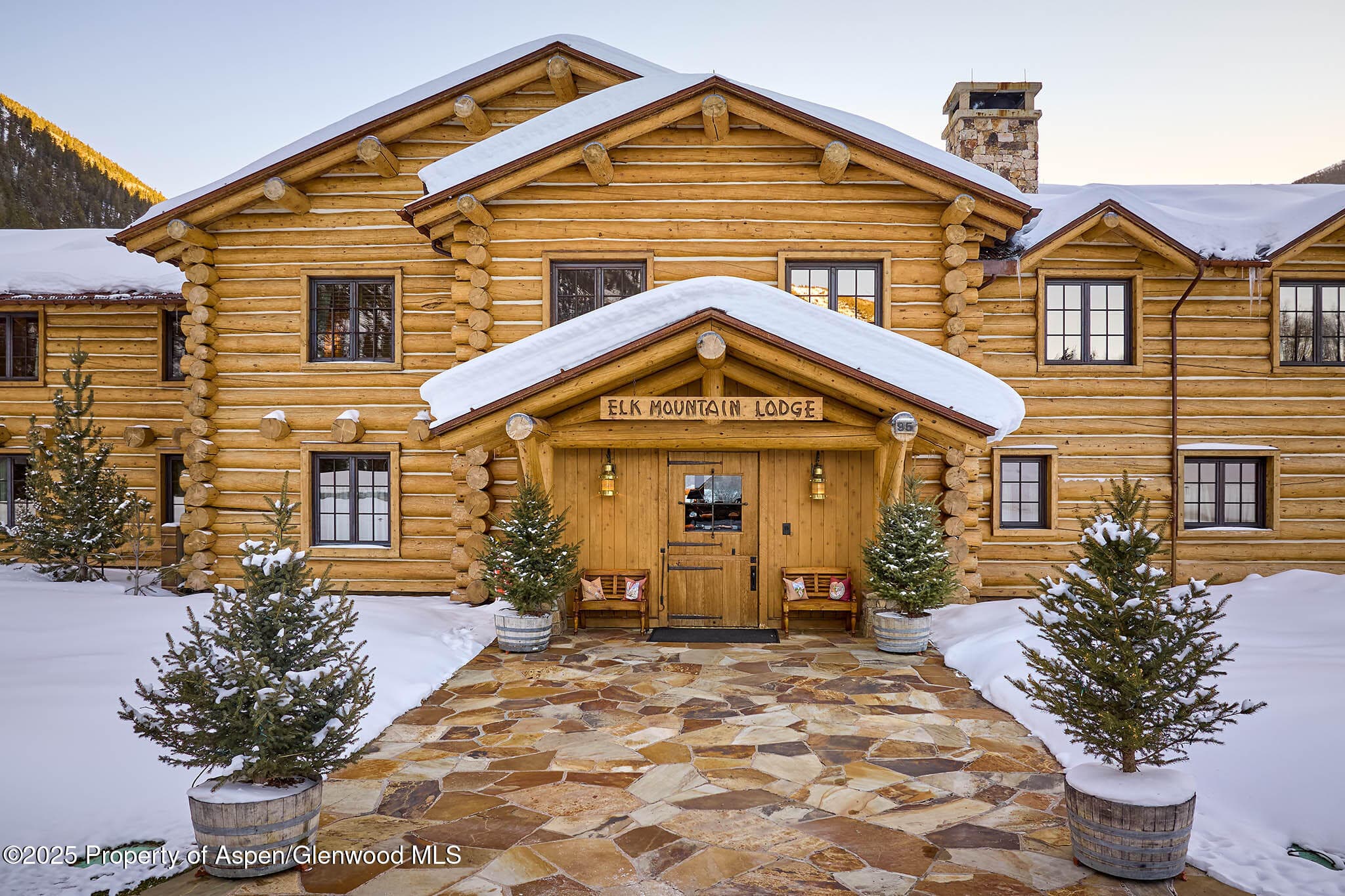 125 Rooney Circle, Aspen, CO 81611 - Photo 13
