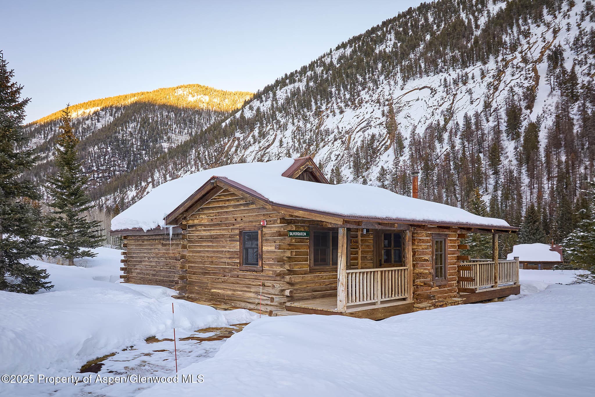 125 Rooney Circle, Aspen, CO 81611 - Photo 45