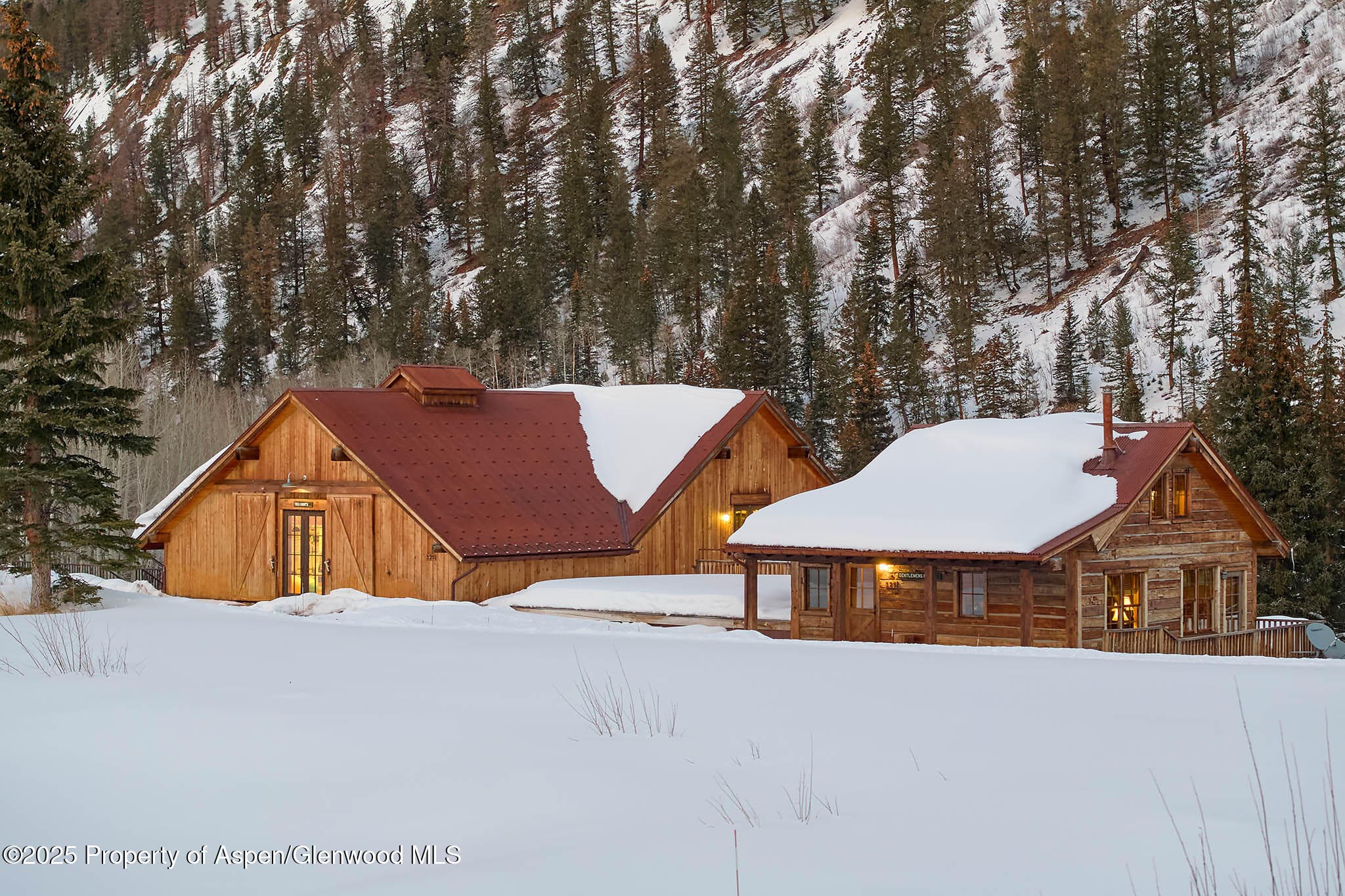 125 Rooney Circle, Aspen, CO 81611 - Photo 37