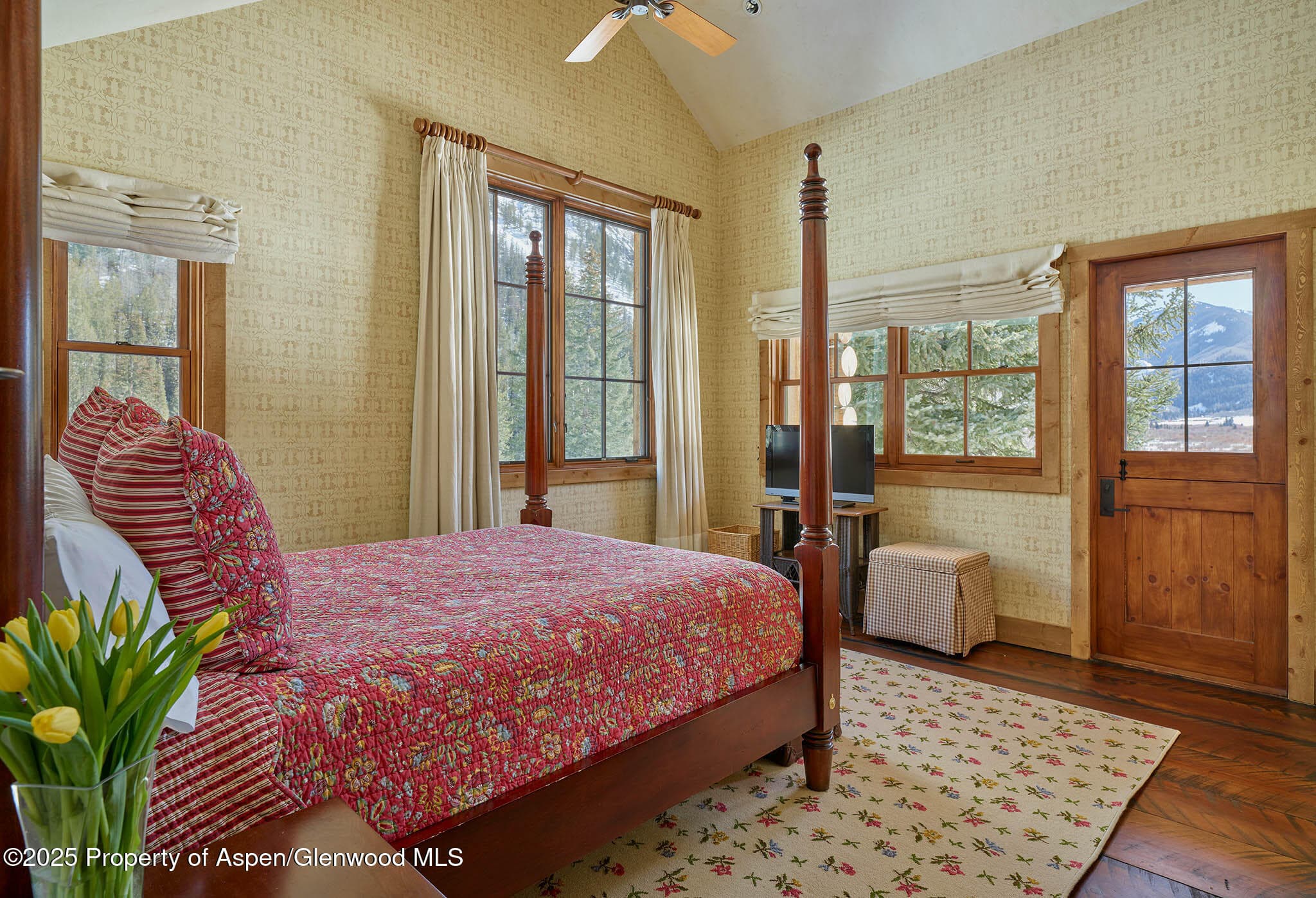 125 Rooney Circle, Aspen, CO 81611 - Photo 56
