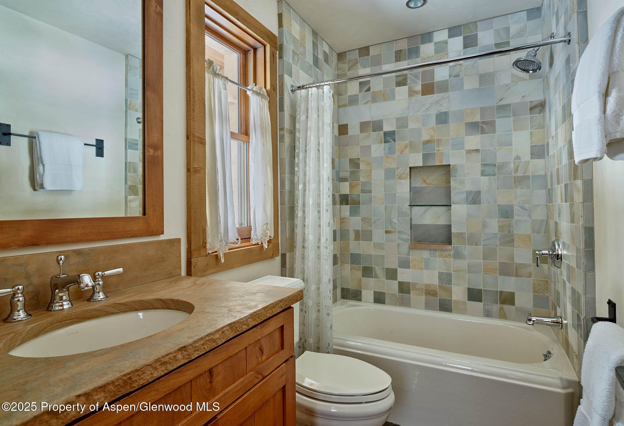 125 Rooney Circle, Aspen, CO 81611 - Photo 55