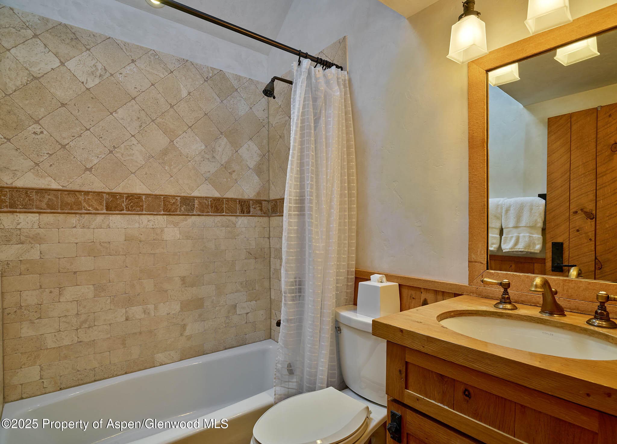 125 Rooney Circle, Aspen, CO 81611 - Photo 49