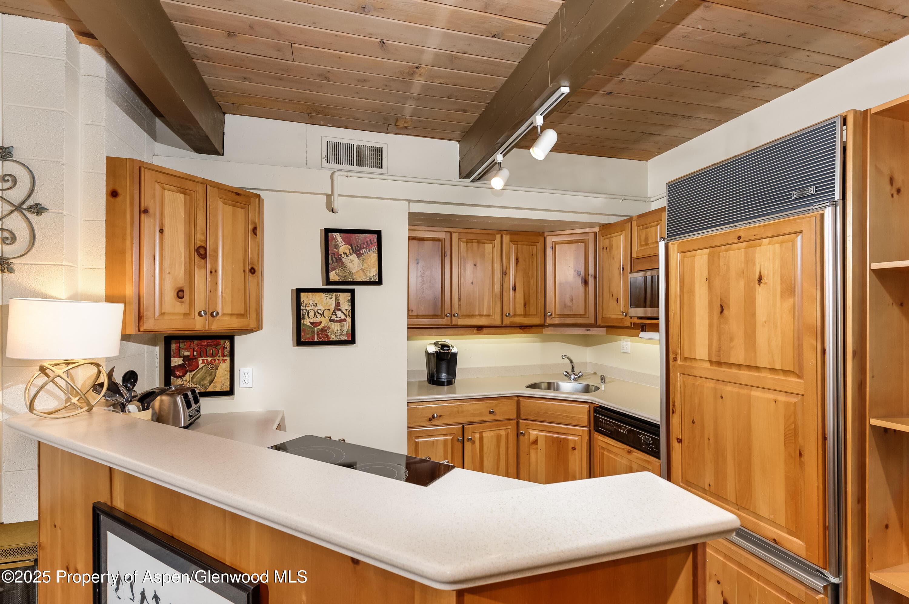 600 Carriage Way J14, Snowmass Village, CO 81615 - Photo 5