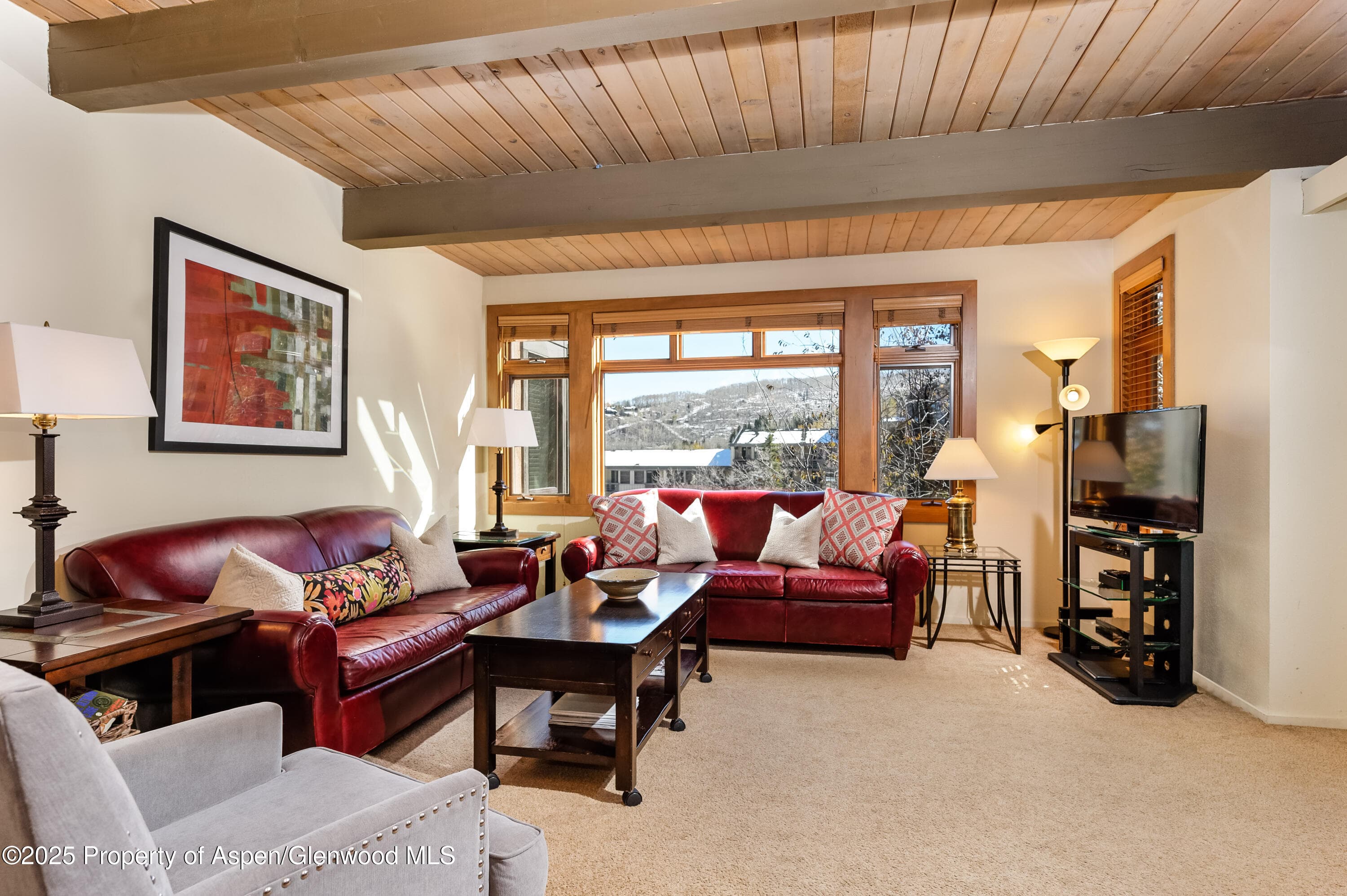 600 Carriage Way J14, Snowmass Village, CO 81615 - Photo 3