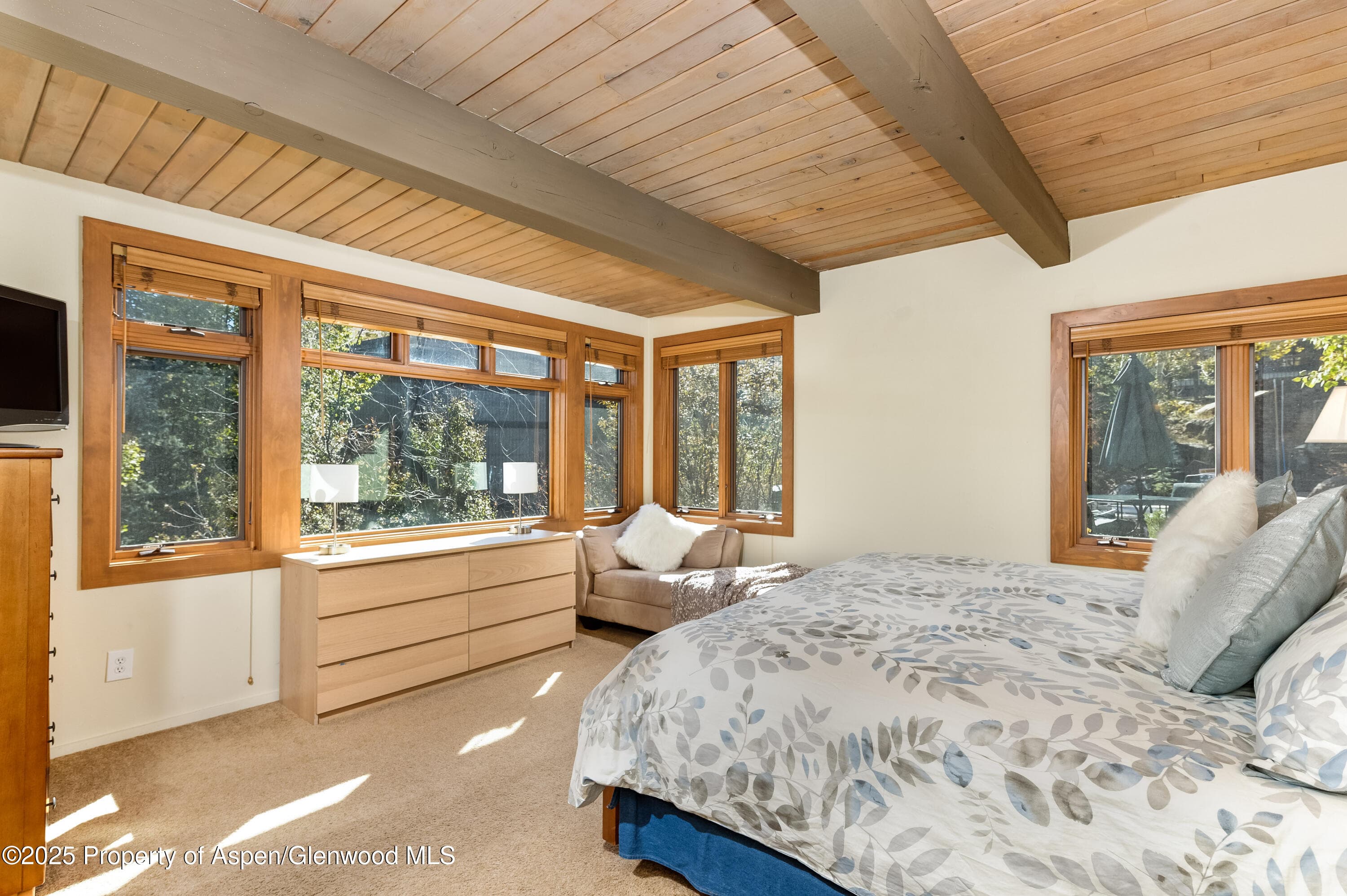 600 Carriage Way J14, Snowmass Village, CO 81615 - Photo 6