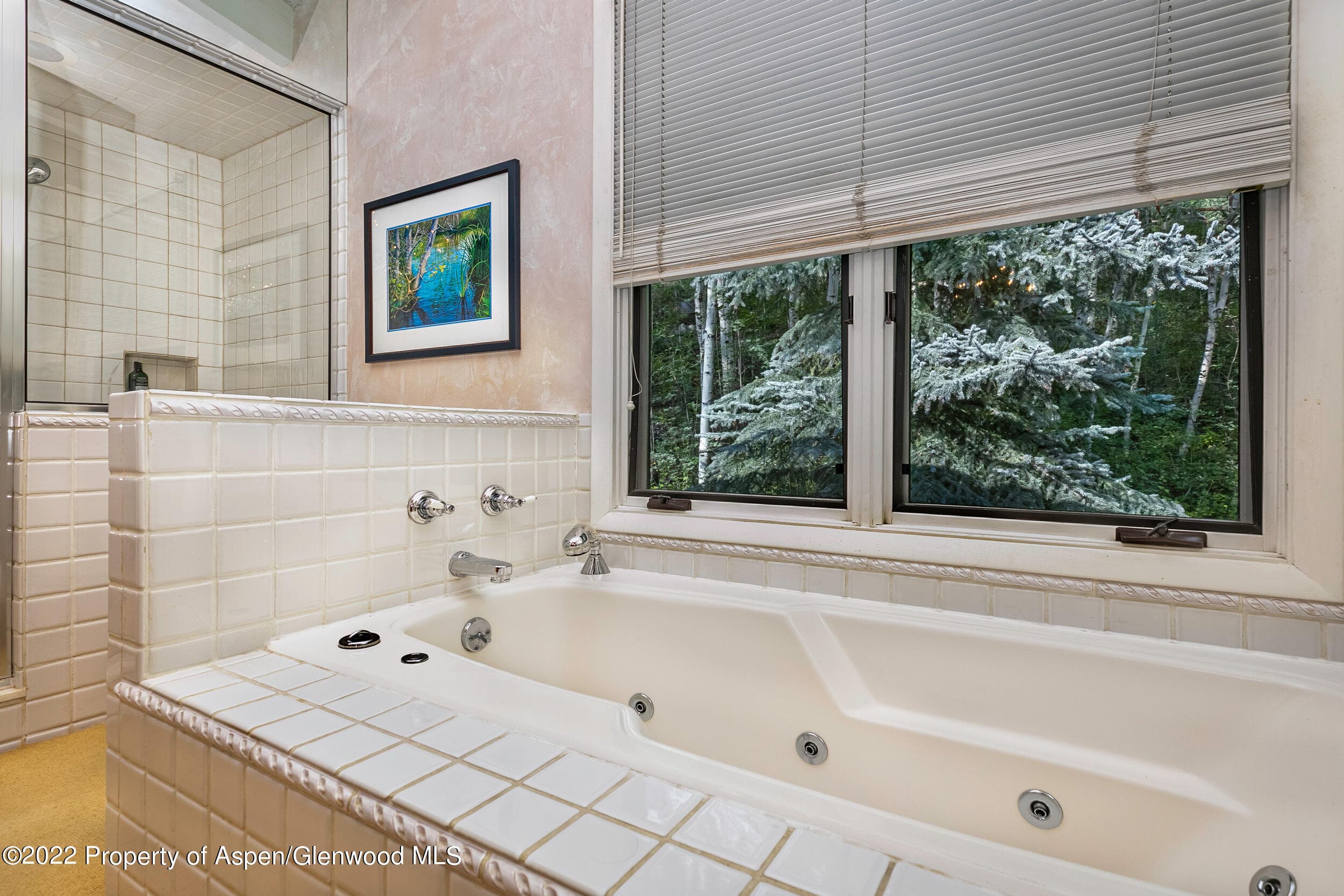 42791 Highway 82, Aspen, CO 81611 - Photo 12
