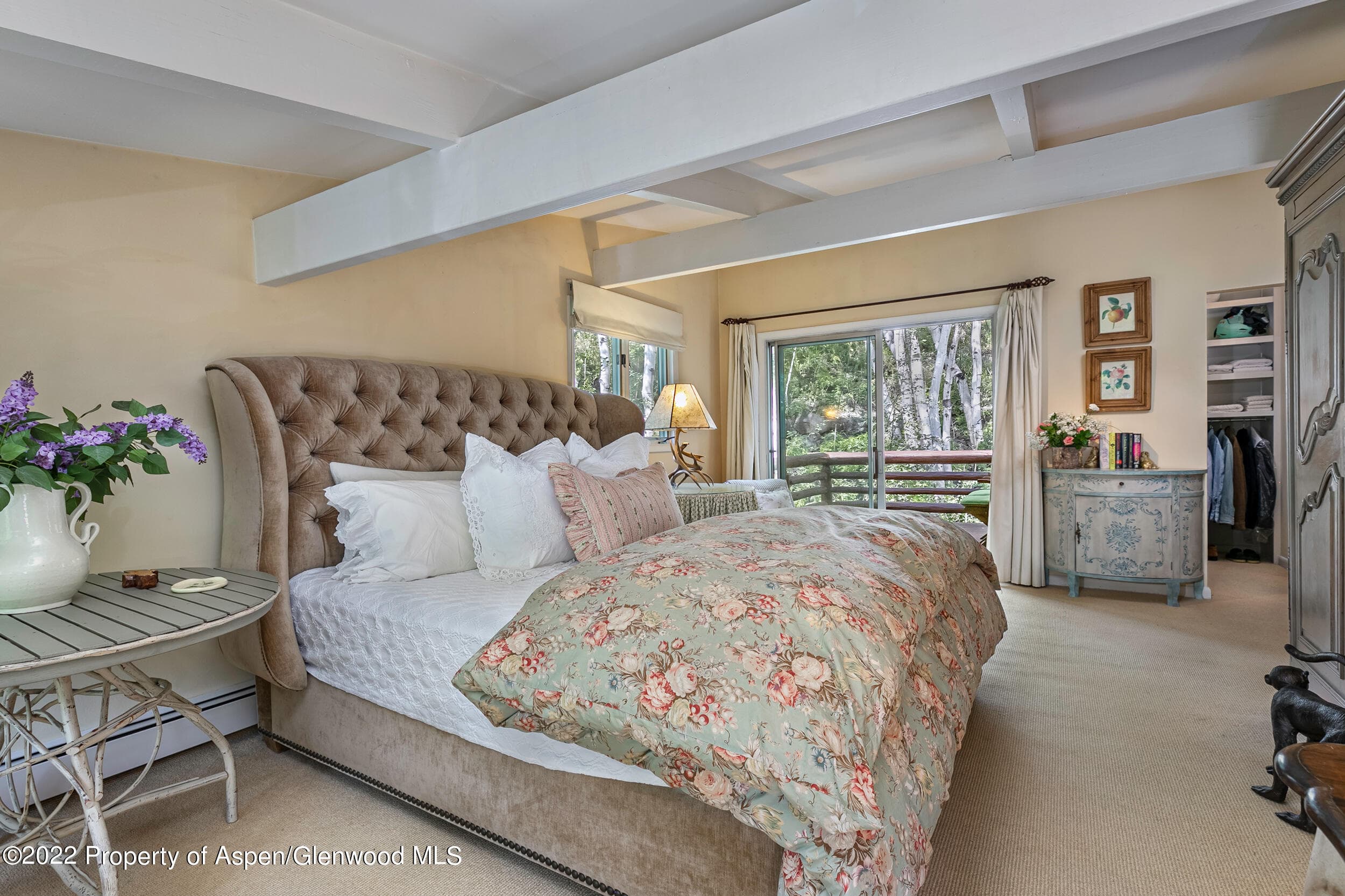 42791 Highway 82, Aspen, CO 81611 - Photo 13