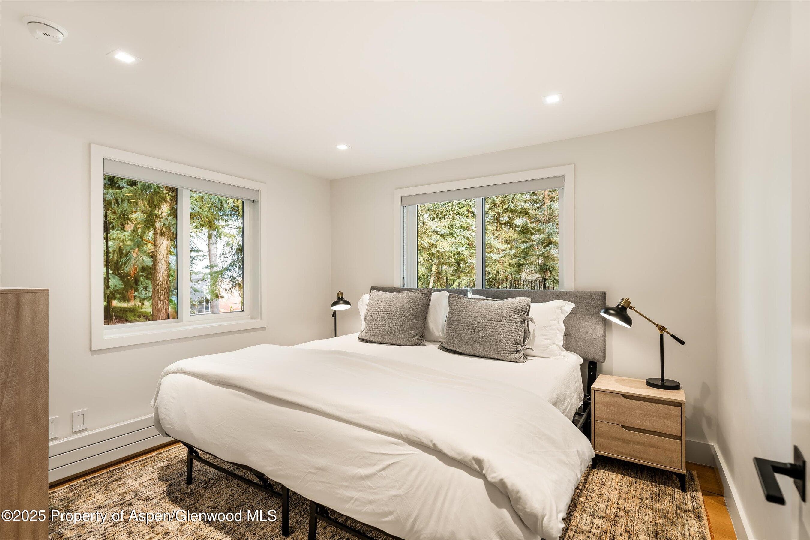 650 S Monarch Street 2, Aspen, CO 81611 - Photo 11