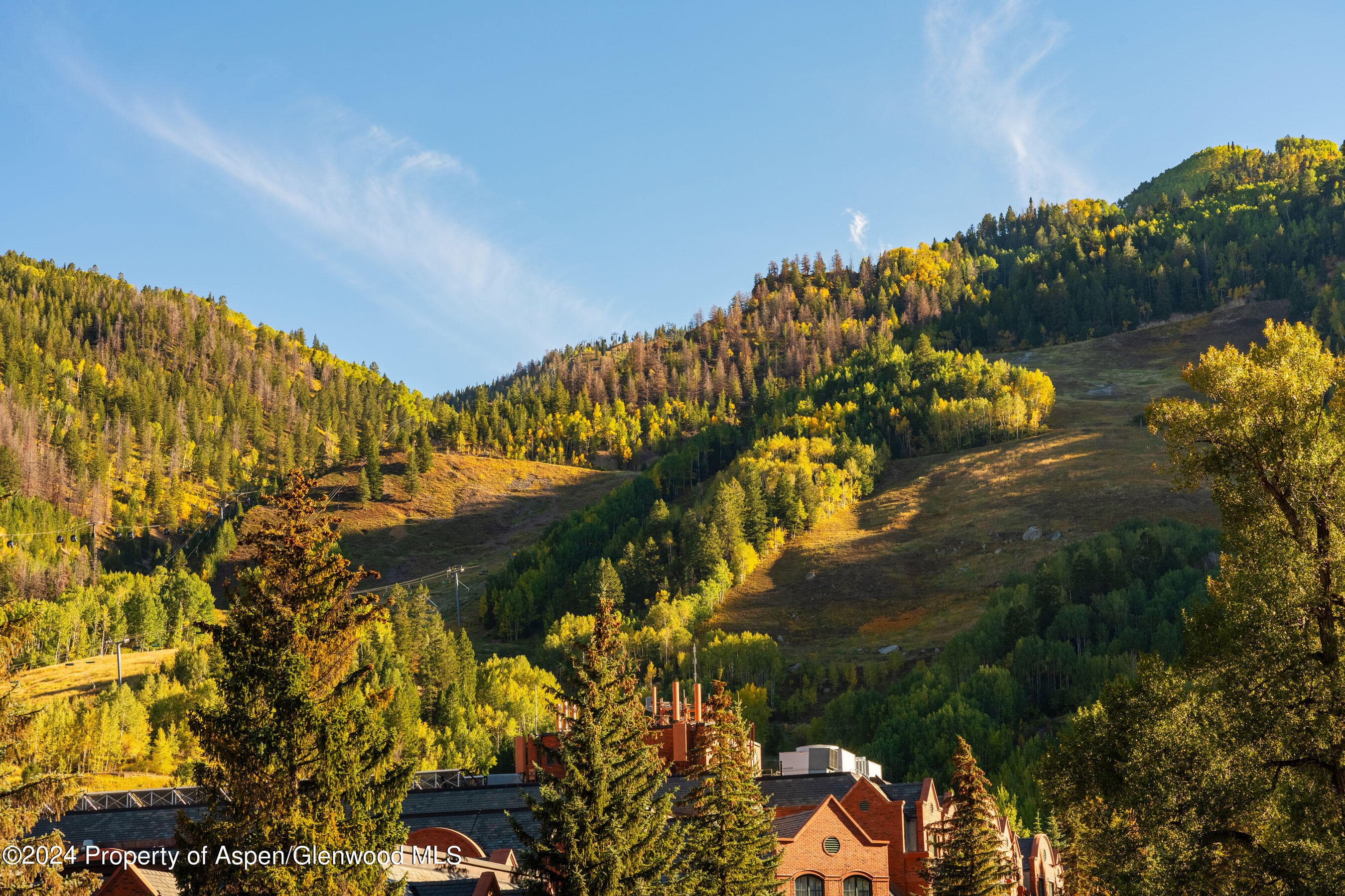 405 S Monarch P-2, Aspen, CO 81611 - Photo 34
