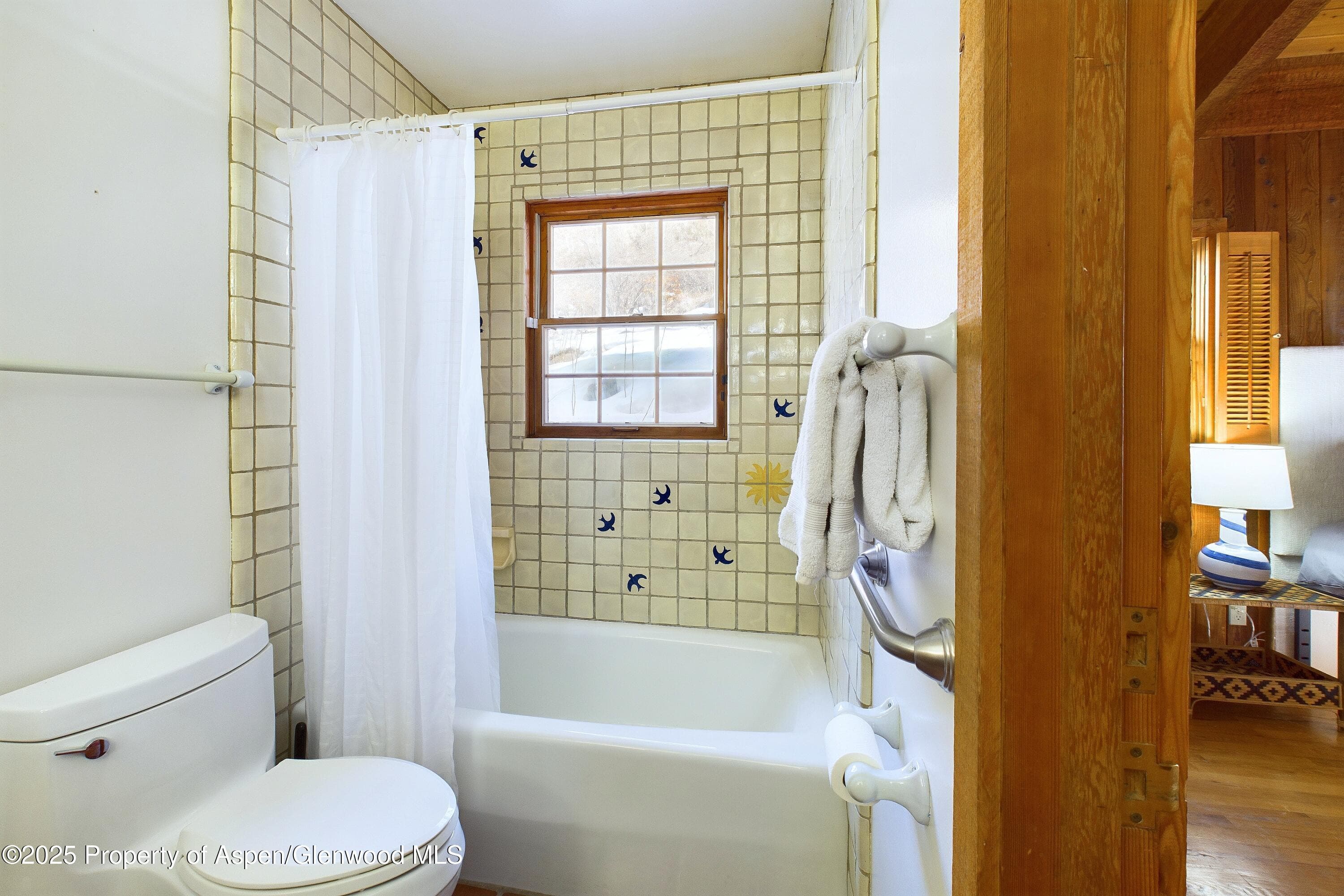 209 E Reds Road, Aspen, CO 81611 - Photo 39