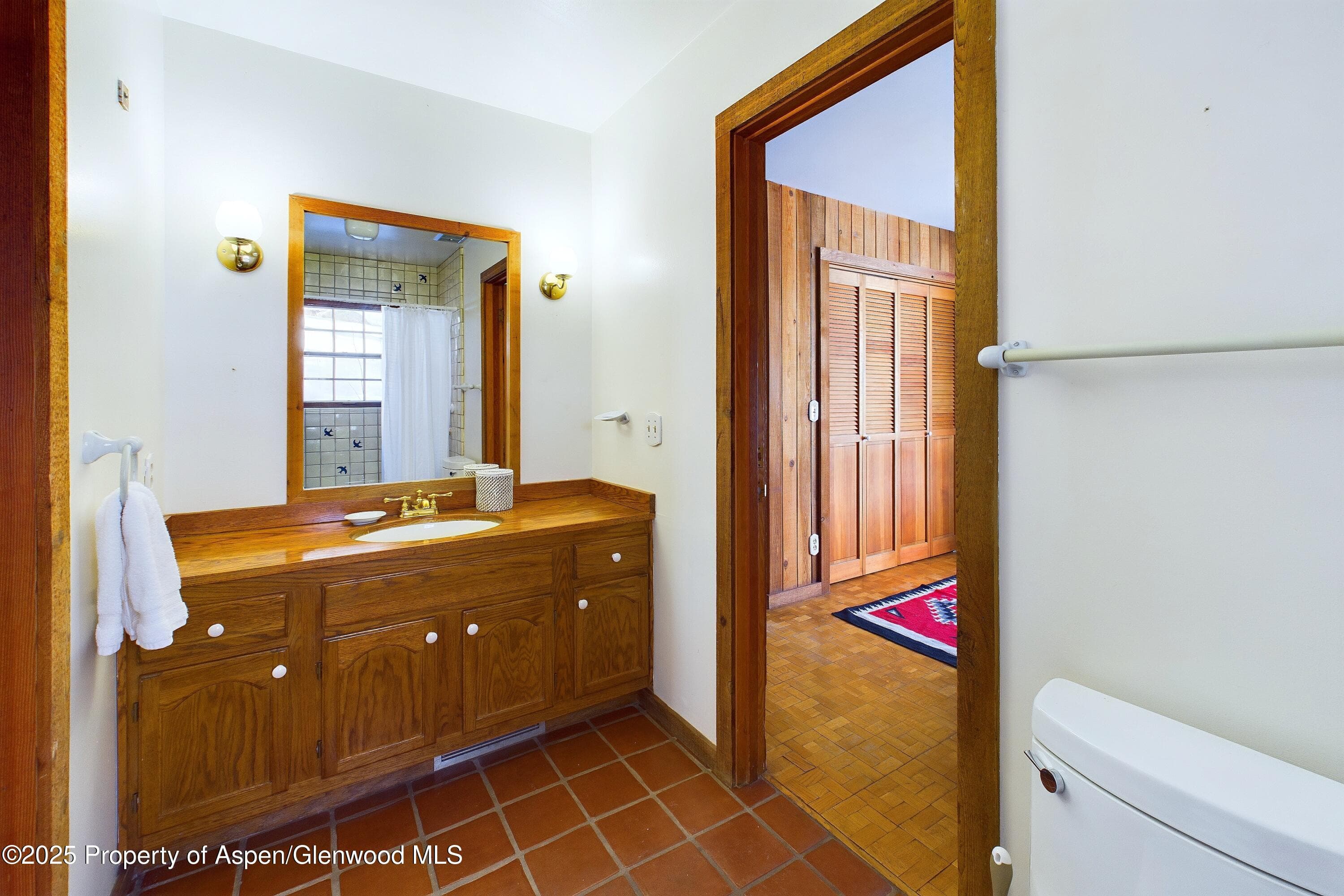 209 E Reds Road, Aspen, CO 81611 - Photo 40