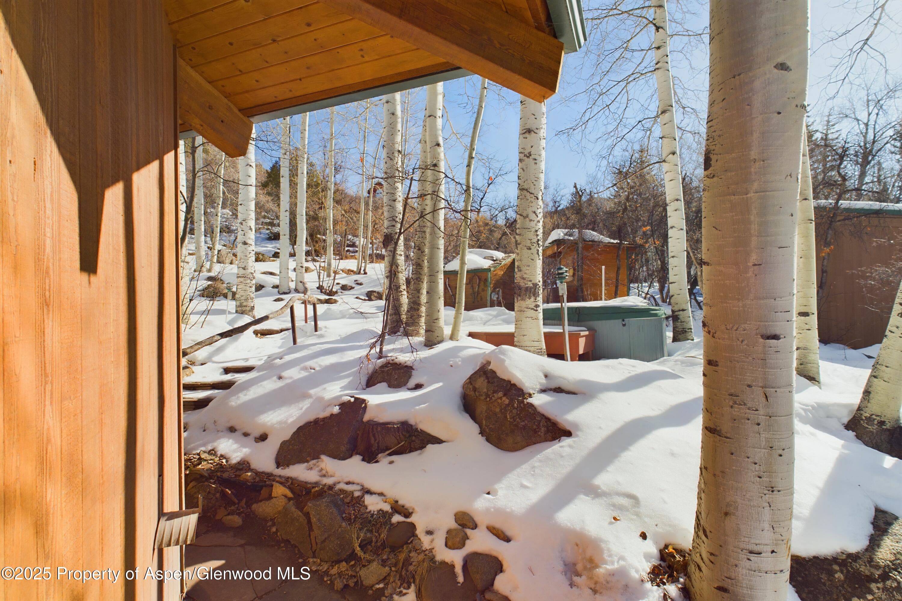 209 E Reds Road, Aspen, CO 81611 - Photo 37
