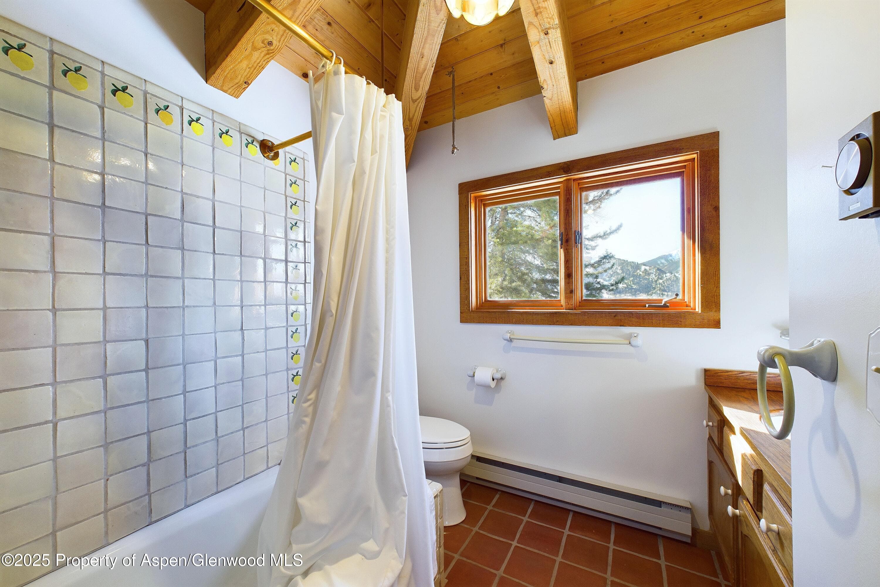 209 E Reds Road, Aspen, CO 81611 - Photo 46