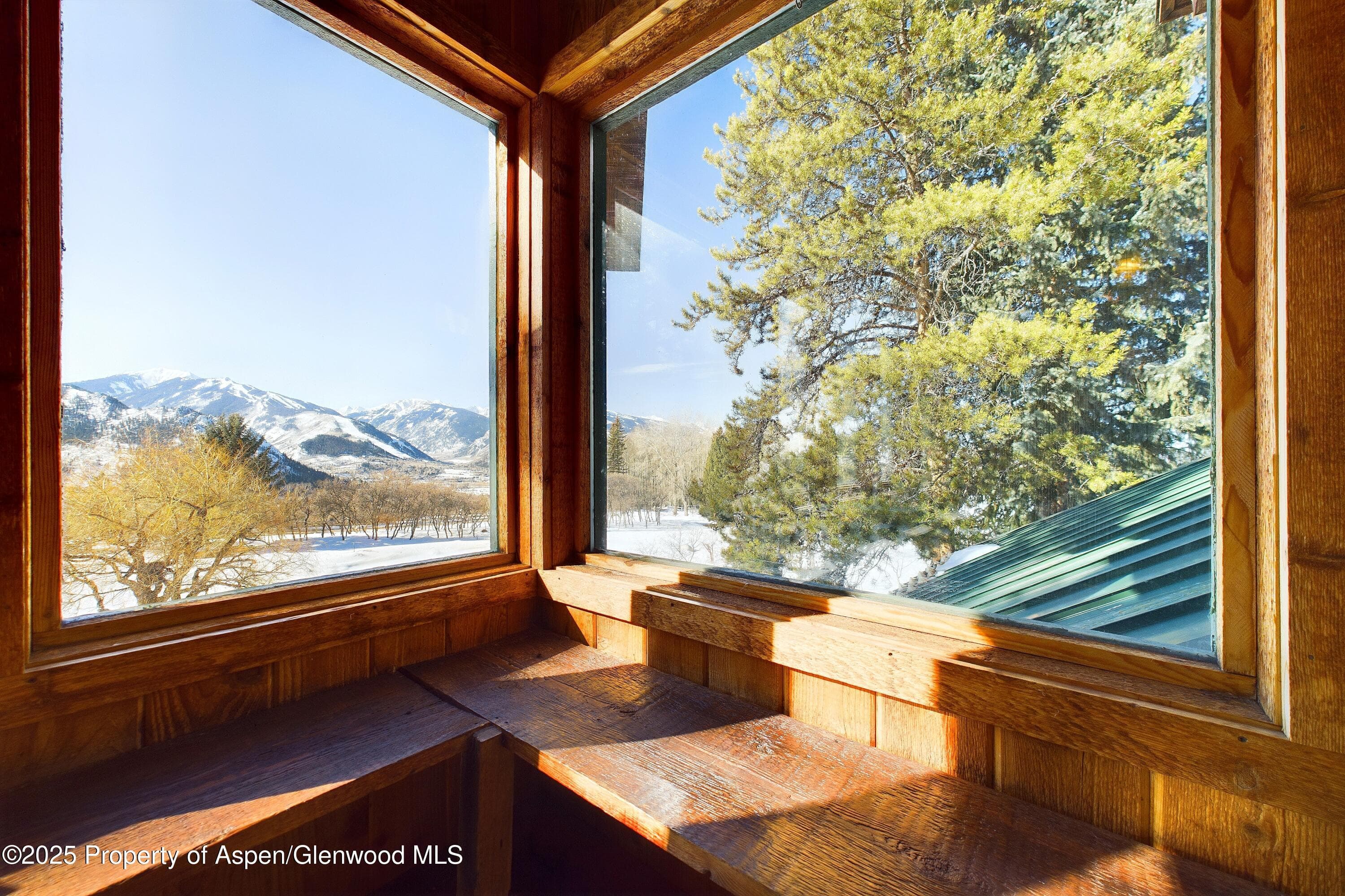 209 E Reds Road, Aspen, CO 81611 - Photo 49