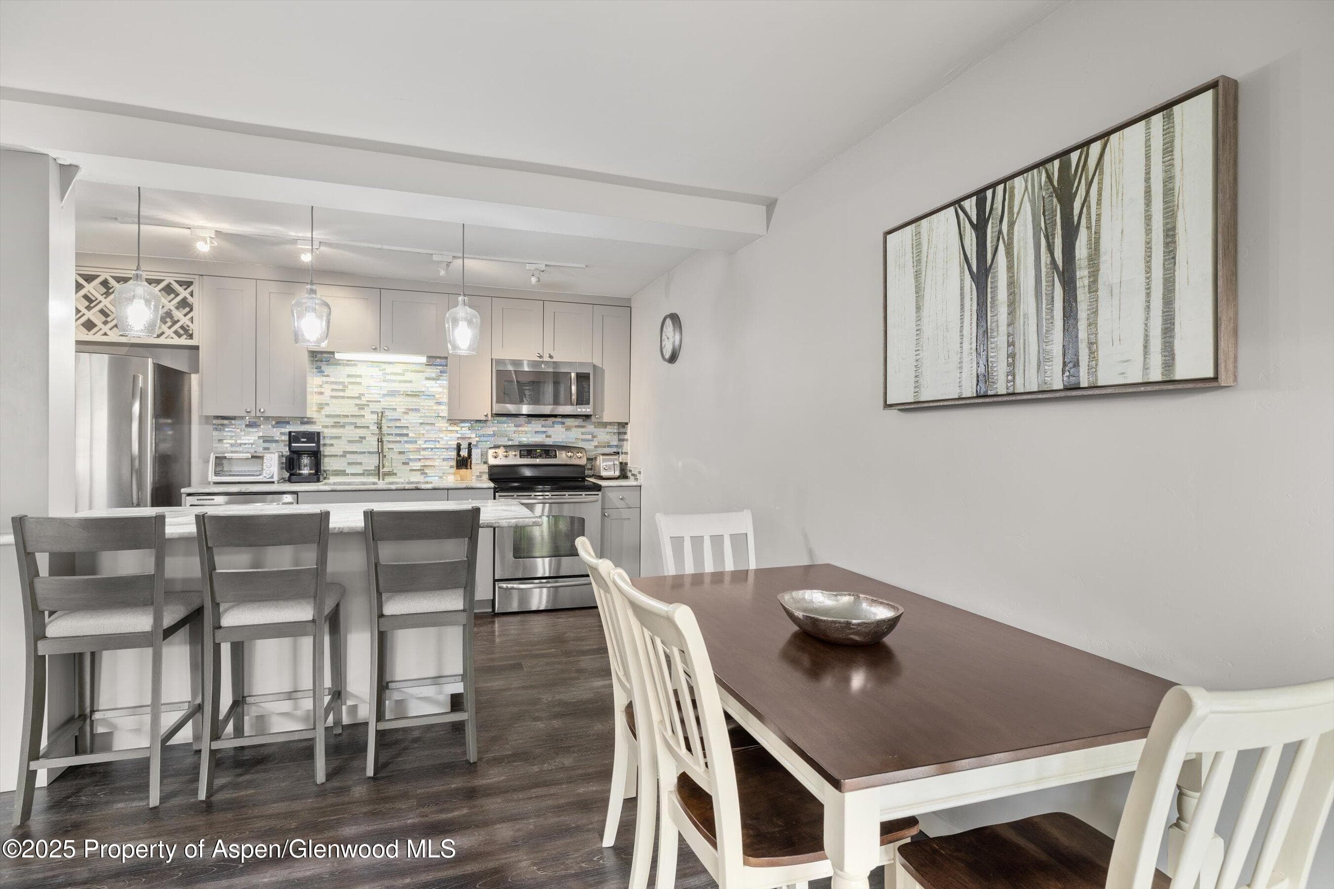 731 E DURANT Avenue 22, Aspen, CO 81611 - Photo 5