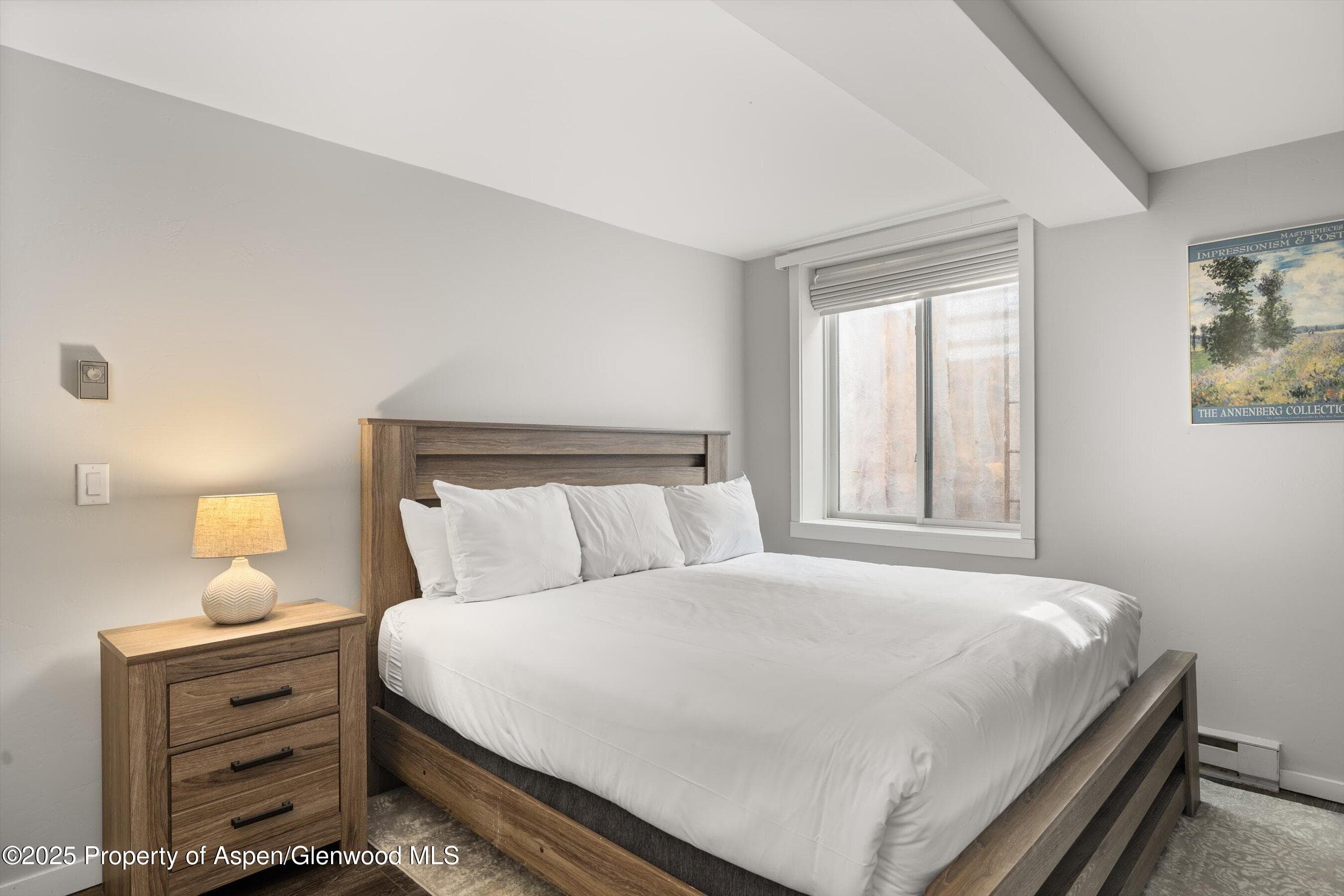 731 E DURANT Avenue 22, Aspen, CO 81611 - Photo 9