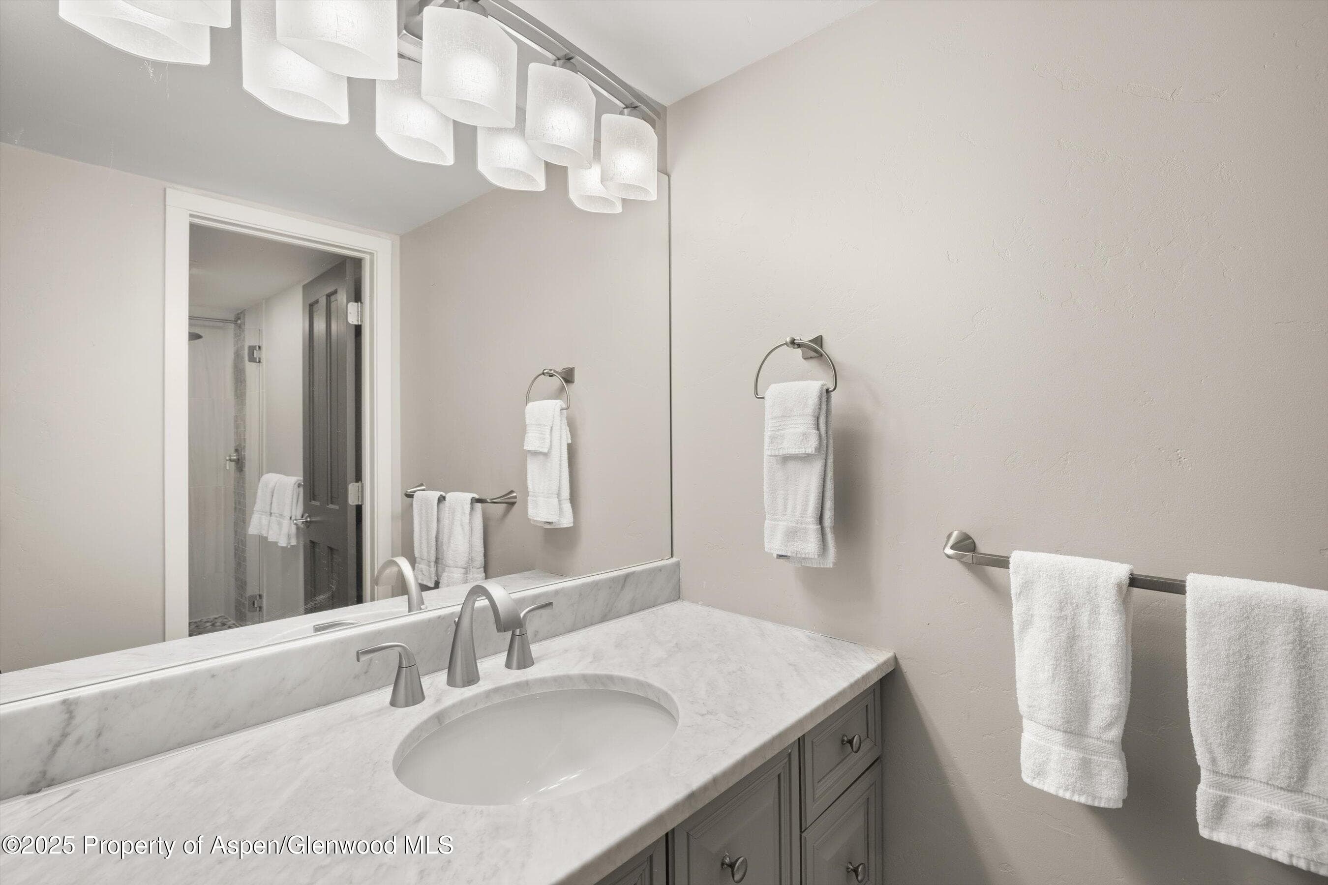 731 E DURANT Avenue 22, Aspen, CO 81611 - Photo 11