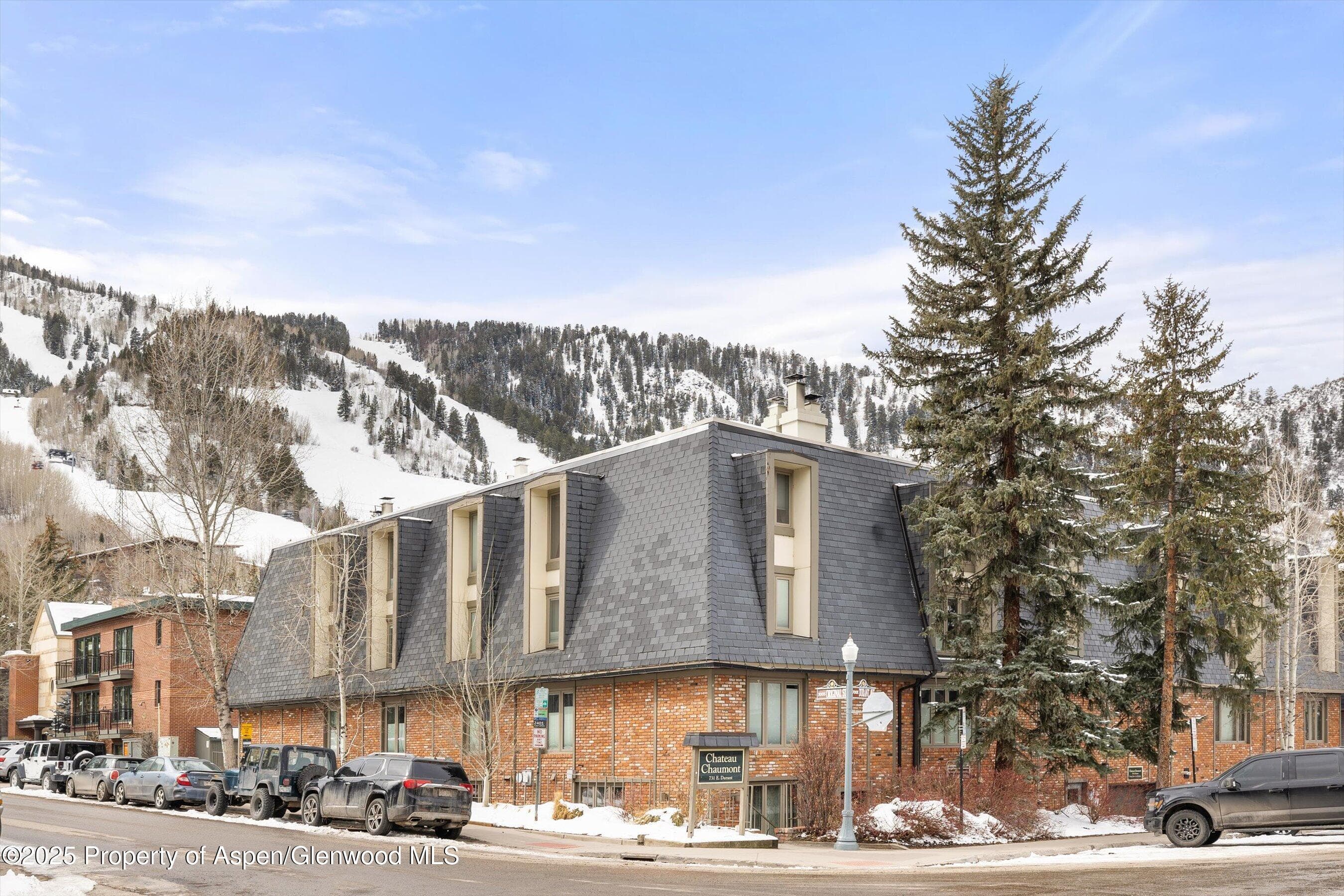 731 E DURANT Avenue 22, Aspen, CO 81611 - Photo 1