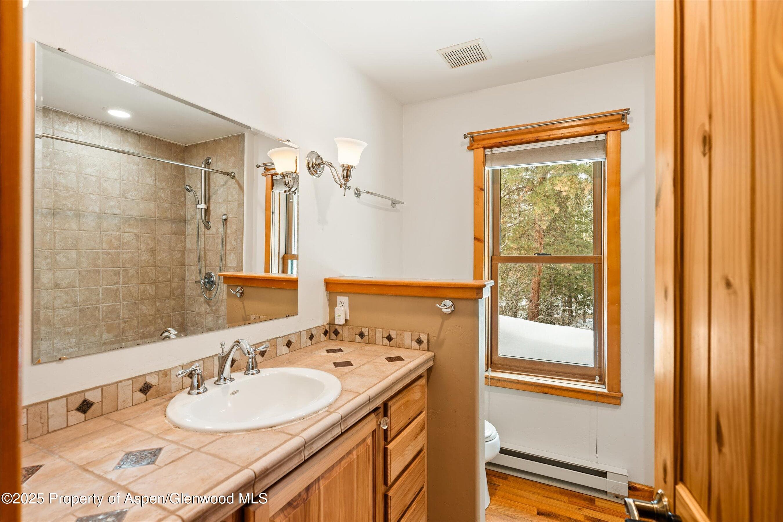 711 W Park Street, Marble, CO 81623 - Photo 17