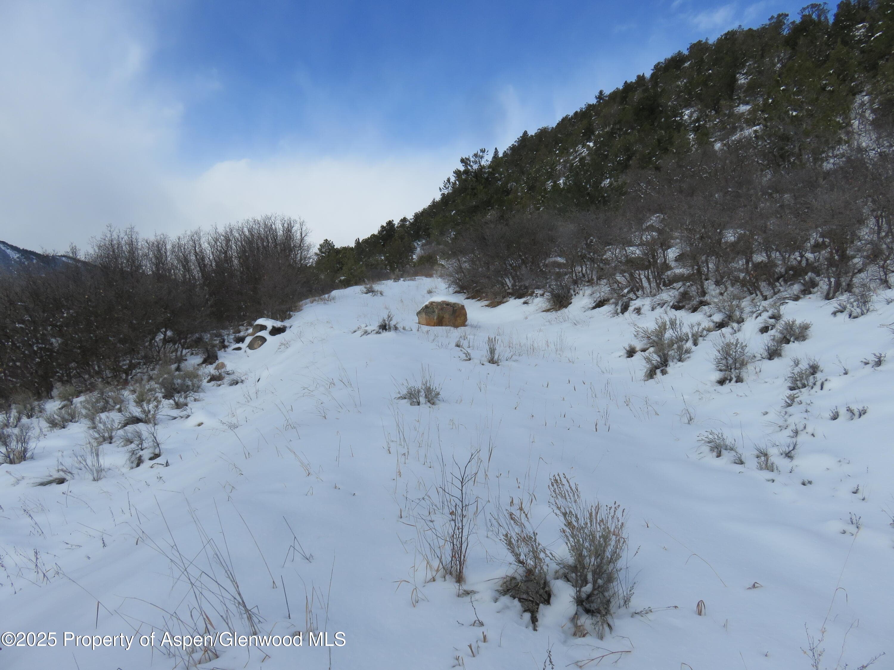 TBD 117 County Road, Glenwood Springs, CO 81601 - Photo 2