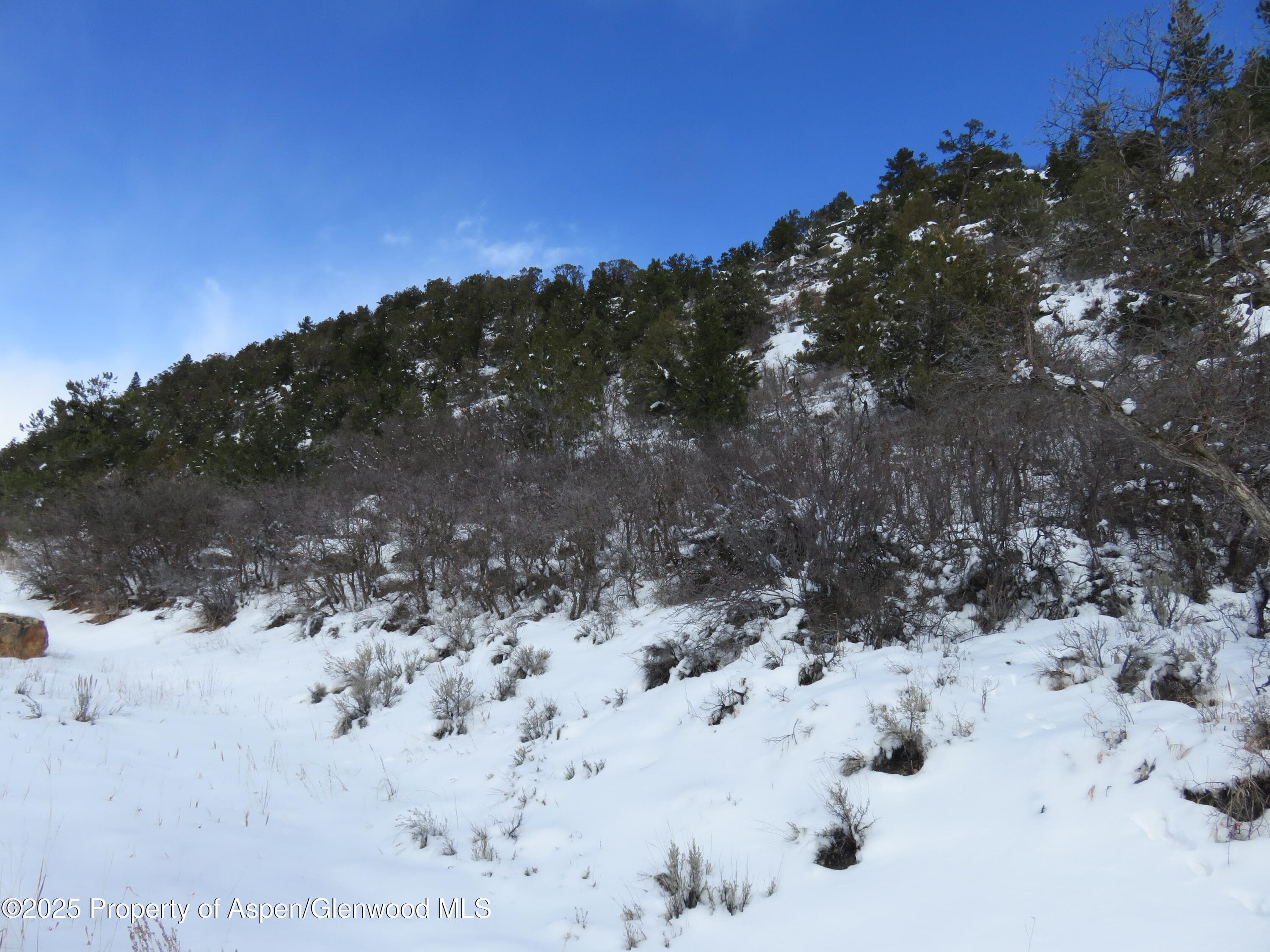 TBD 117 County Road, Glenwood Springs, CO 81601 - Photo 3