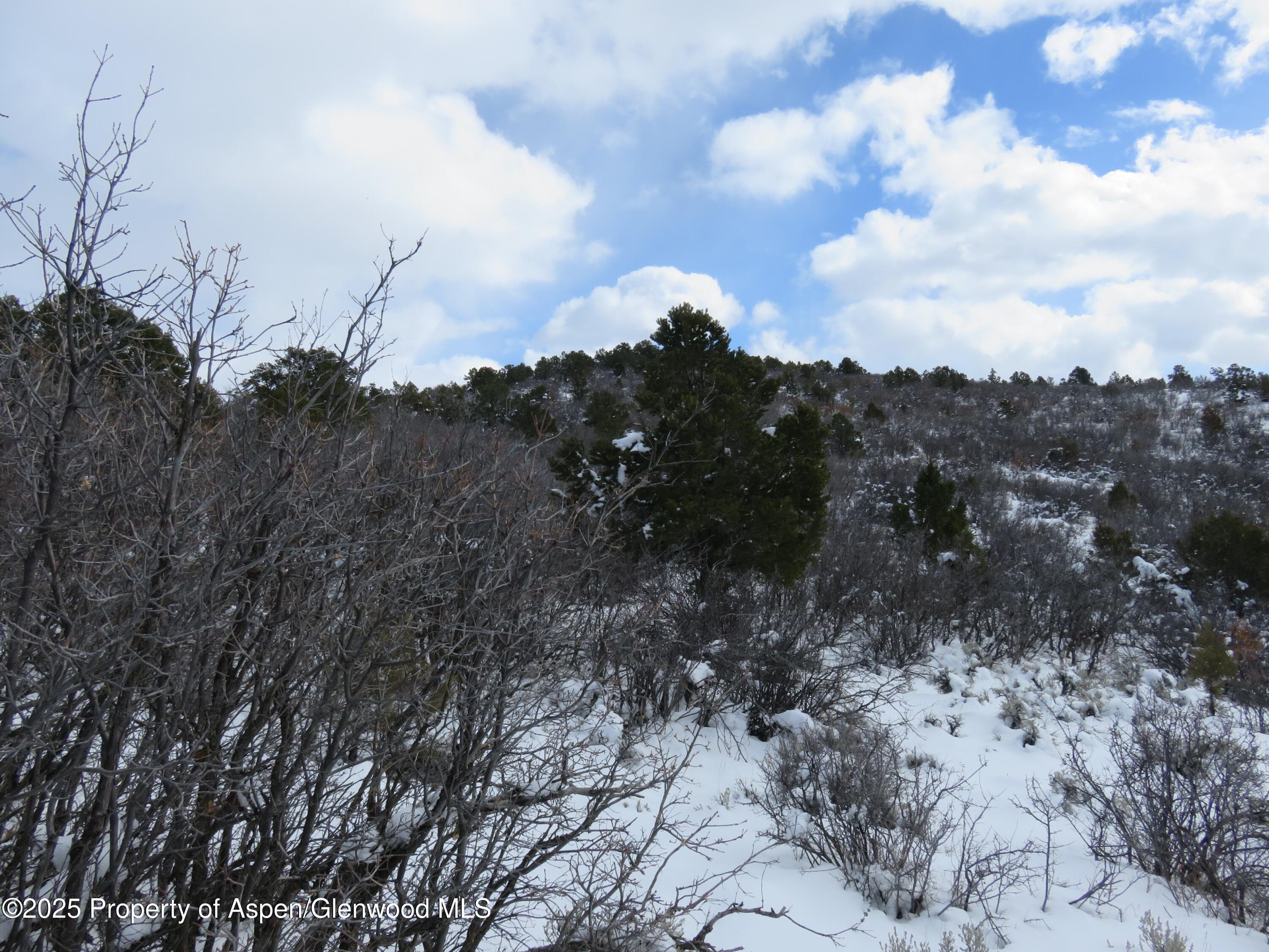 TBD 117 County Road, Glenwood Springs, CO 81601 - Photo 6